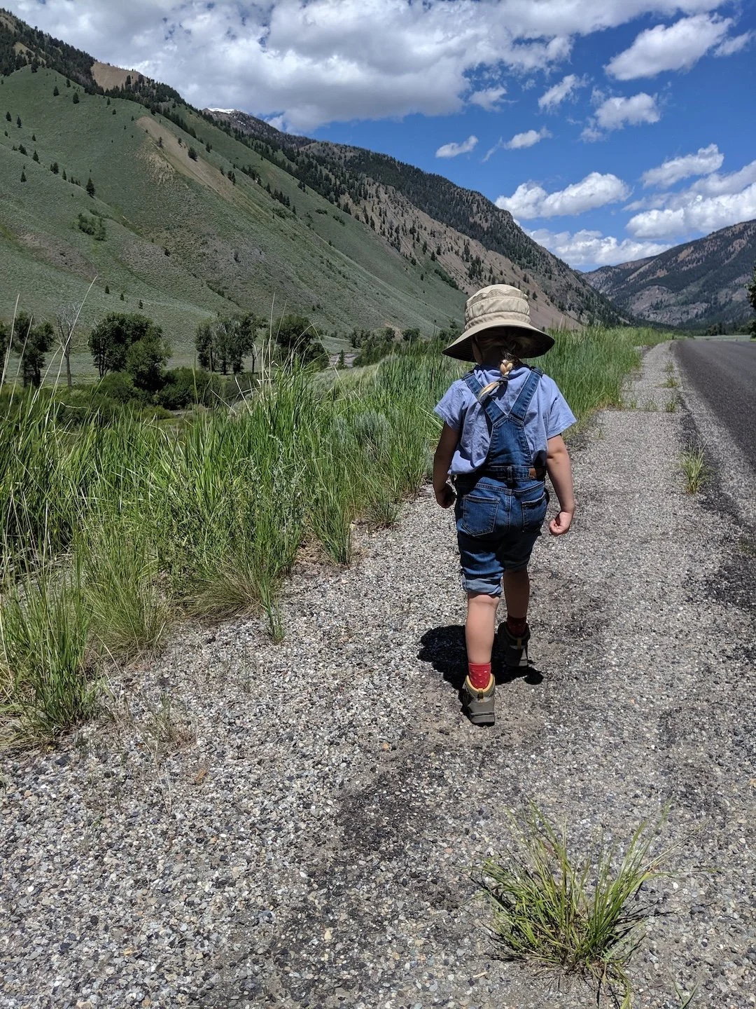 Millie exploring a trail while traveling in Ketchum and Stanley Idaho.