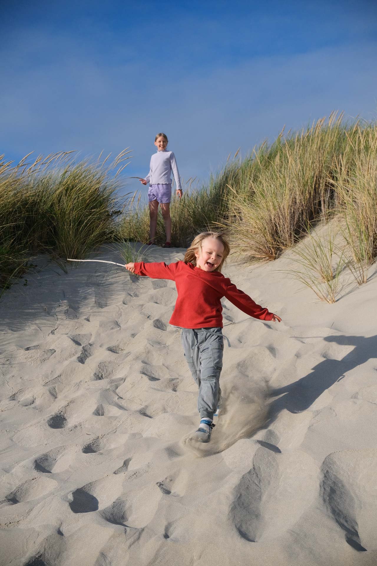 Millie and Eddie playing in the sand dunes of Nehalem Bay, OR.