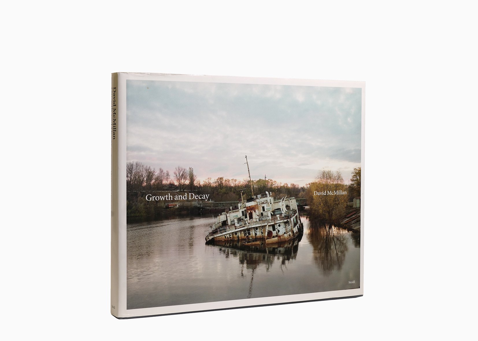 Growth and decay by David McMillan