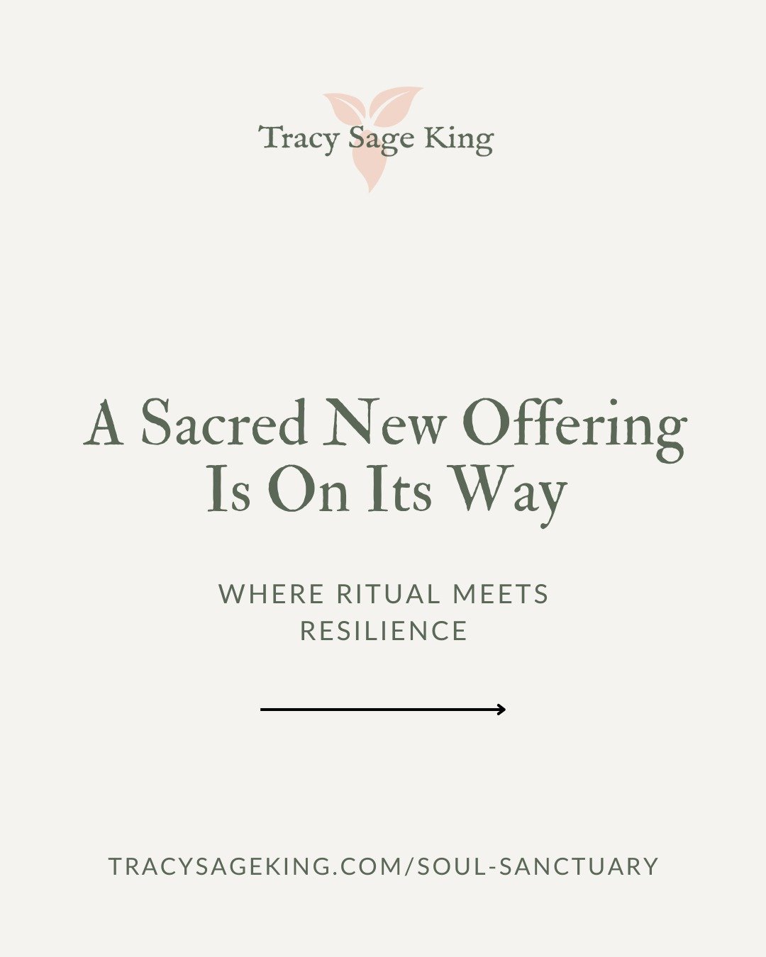 What if there was a way to take care of own well-being and take action for a better world?

Soul Sanctuary is my new on-demand membership rooted in resilience, ceremony, and spirit. It&rsquo;s here to help you care for yourself and stay awake to the 