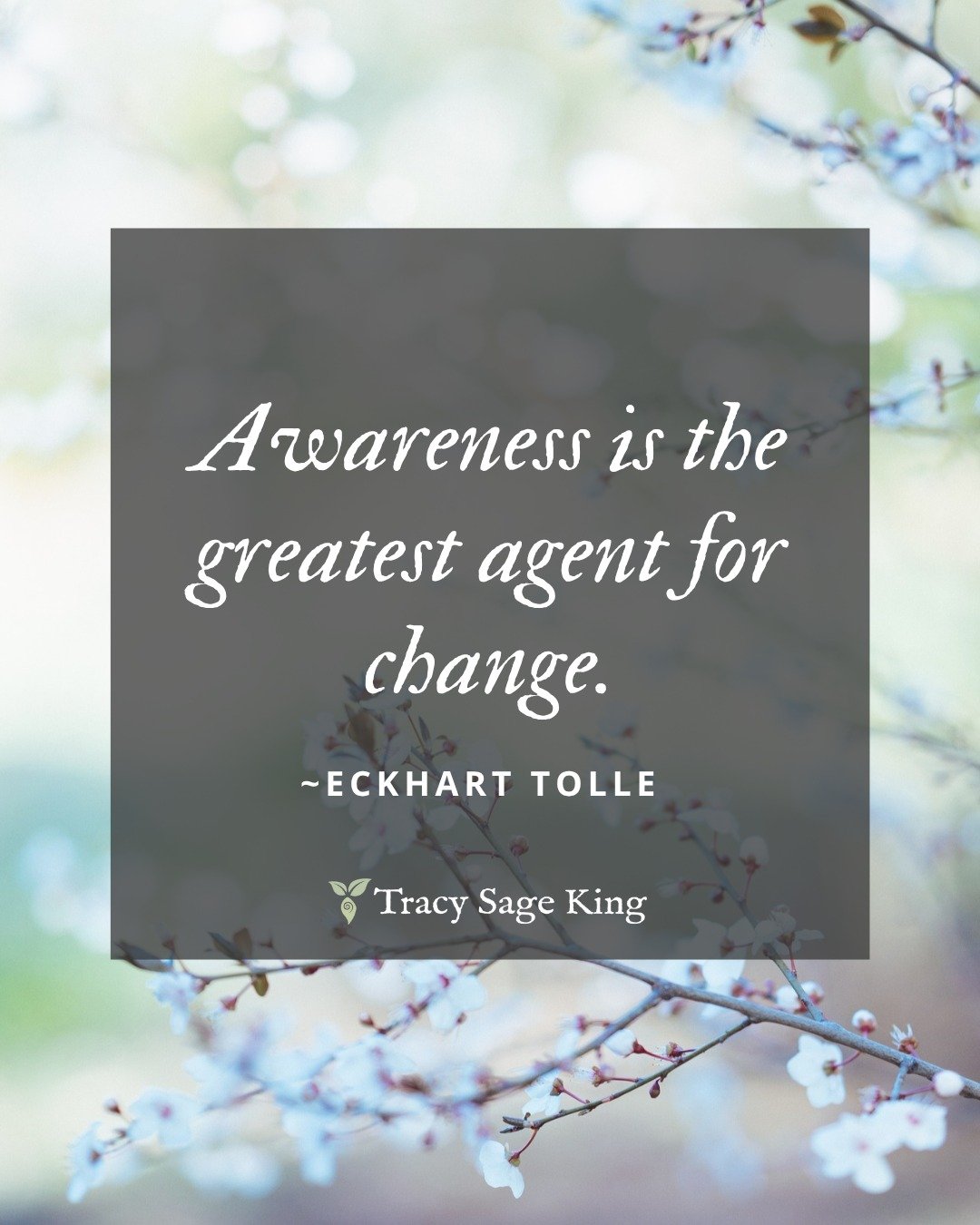 Awareness is sacred. It&rsquo;s how we begin to see clearly &mdash; within and around us. In Soul Sanctuary, we honor awareness as the first step on the path of healing, embodiment, and change. Come home to your intuition, your truth, your soul&rsquo