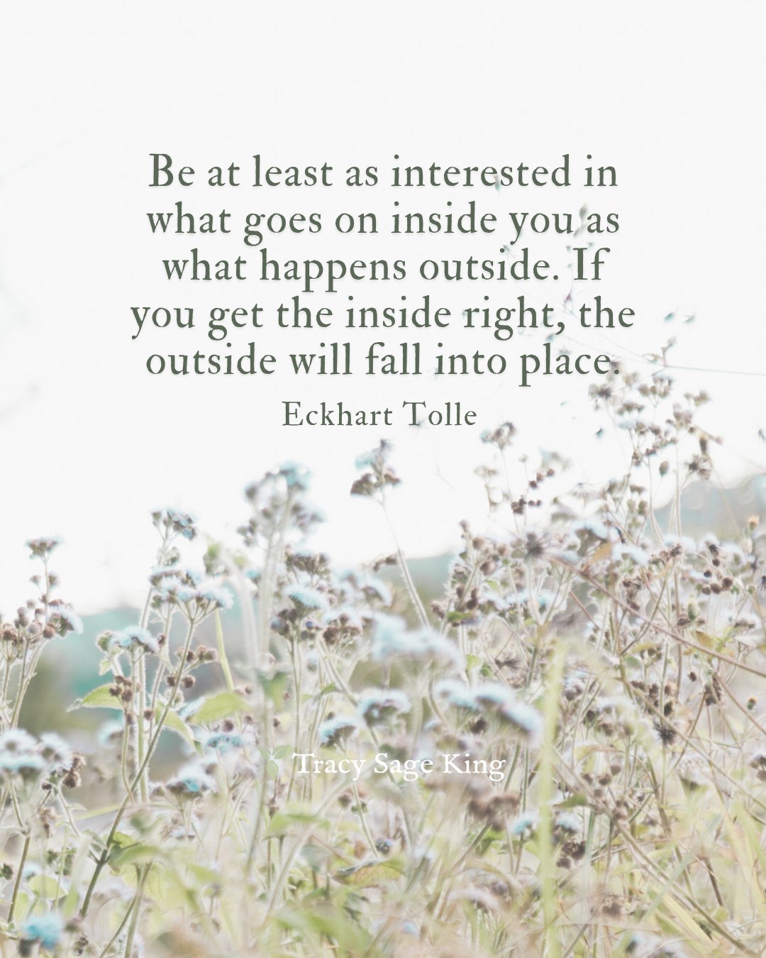 What happens within shapes what you see around you. When you tend to your inner world with reverence, presence, and compassion&hellip; the outer world begins to shift too. In Soul Sanctuary, we start from the inside &mdash; with ritual, meditation, a