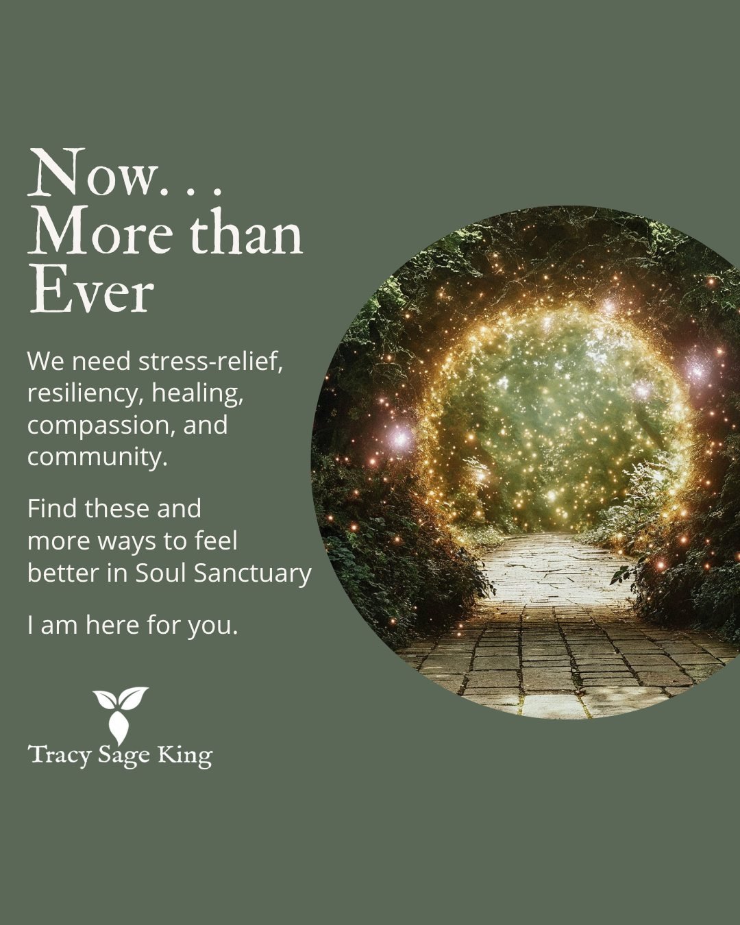 Soul Sanctuary is a refuge for tender-hearted people who still want to show up with strength.
✨ On-demand tools
✨ Live gatherings
✨ Elemental guidance for your spirit

Now more than ever, you deserve support that nourishes your whole being.