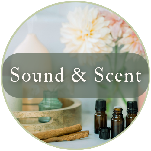 Illustration of three glass bottles with cork stoppers, one with reed diffuser sticks, against a green background, with the text "Scent & Sound" overlaid.