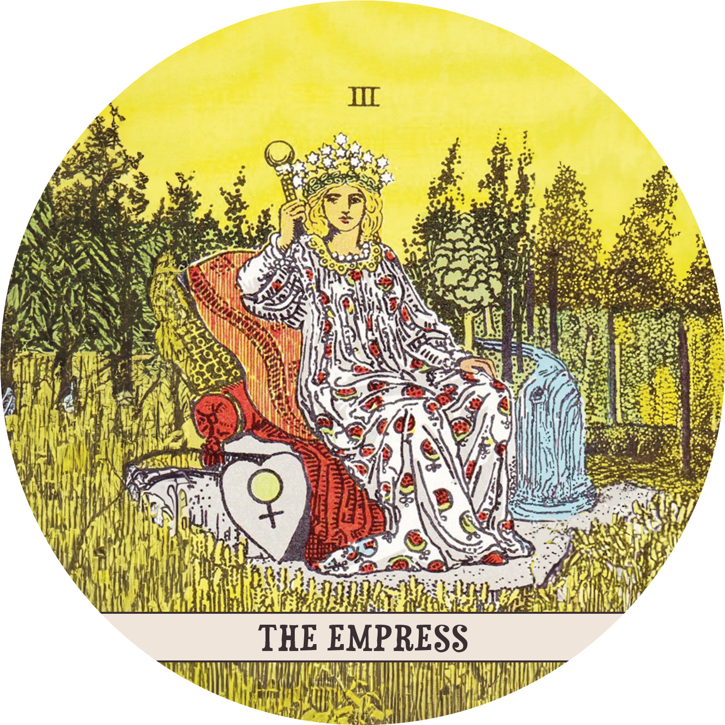 Forrest representing nature-based tools for grounding, with leaves, stones, and calming rituals