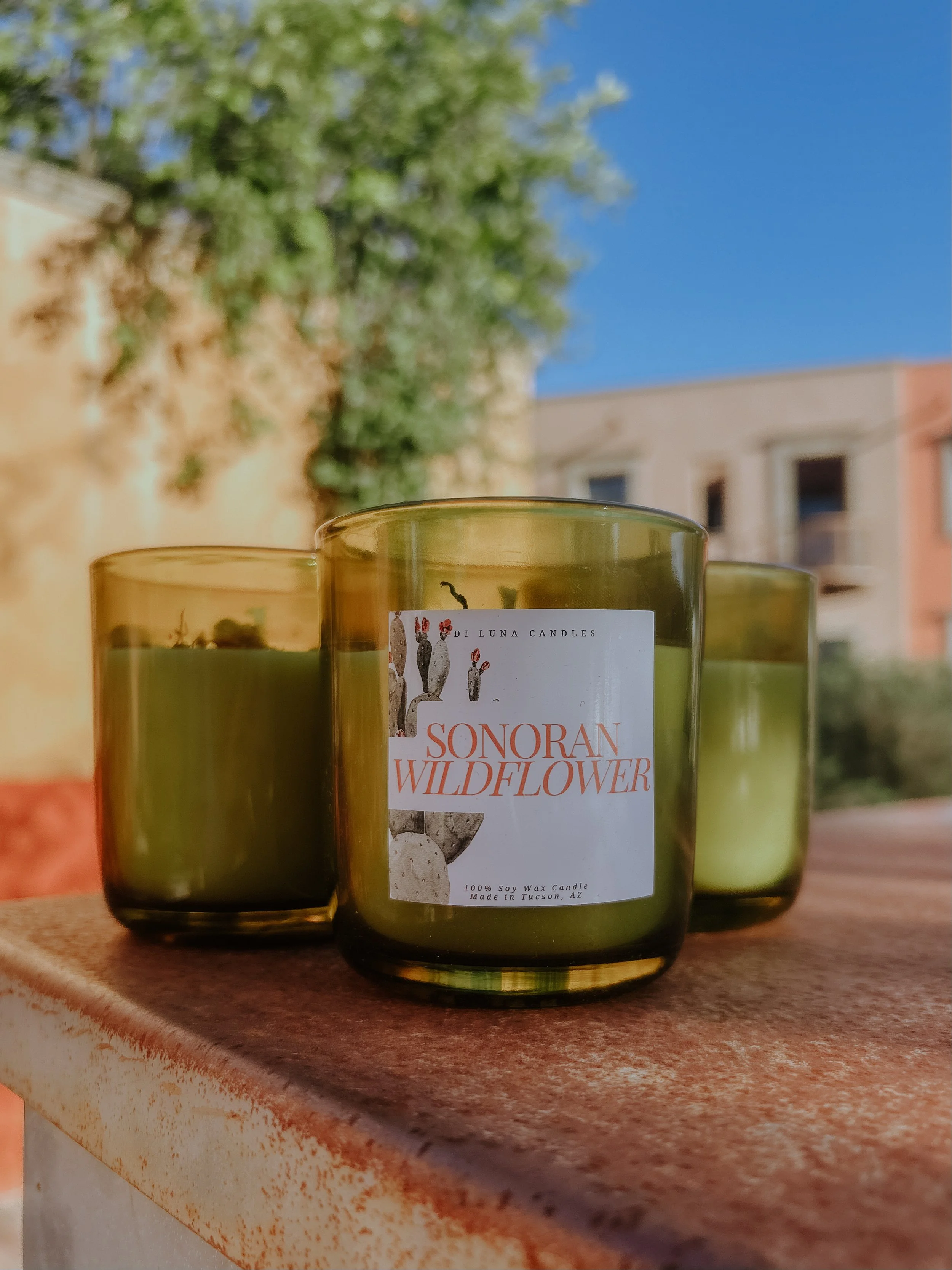 ORTENSE Sonoran Wildflower candles by Di Luna Candles, photographed outdoors in Tucson.
