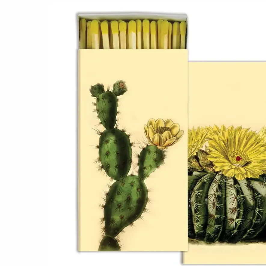 Matches- Cacti