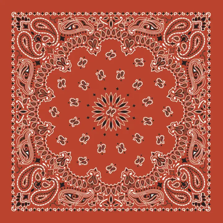 Cotton Bandana- Terracotta Paisley