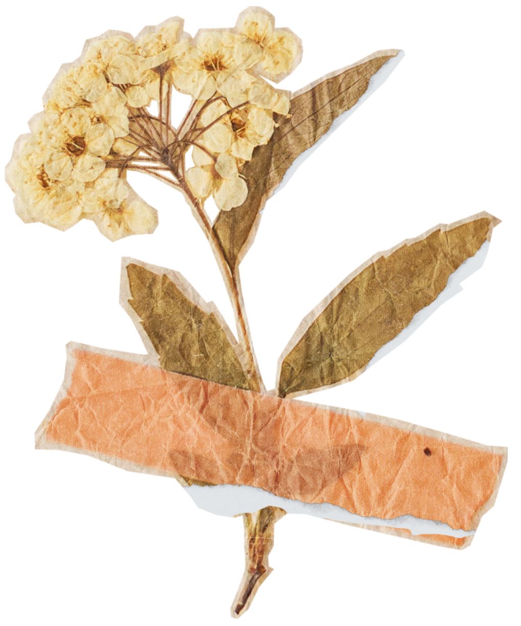 Dried hydrangea flower and leaves made from layered paper, with a crinkled brown flower and a pinkish-orange leaf.