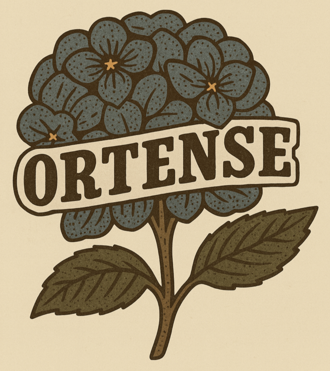 hydrangea ortense.PNG