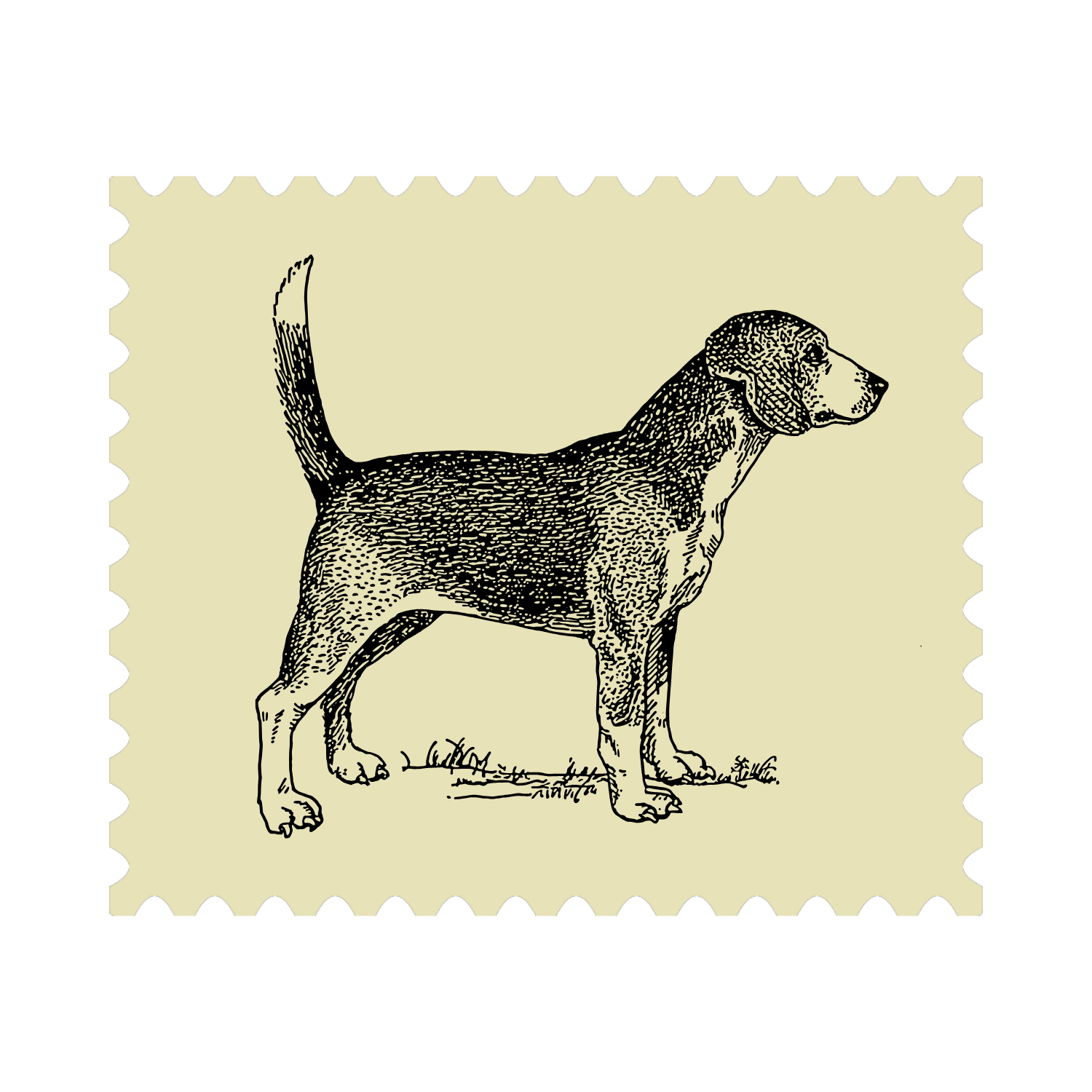 Vintage postage stamp featuring a detailed black and white illustration of a dog standing on grass.