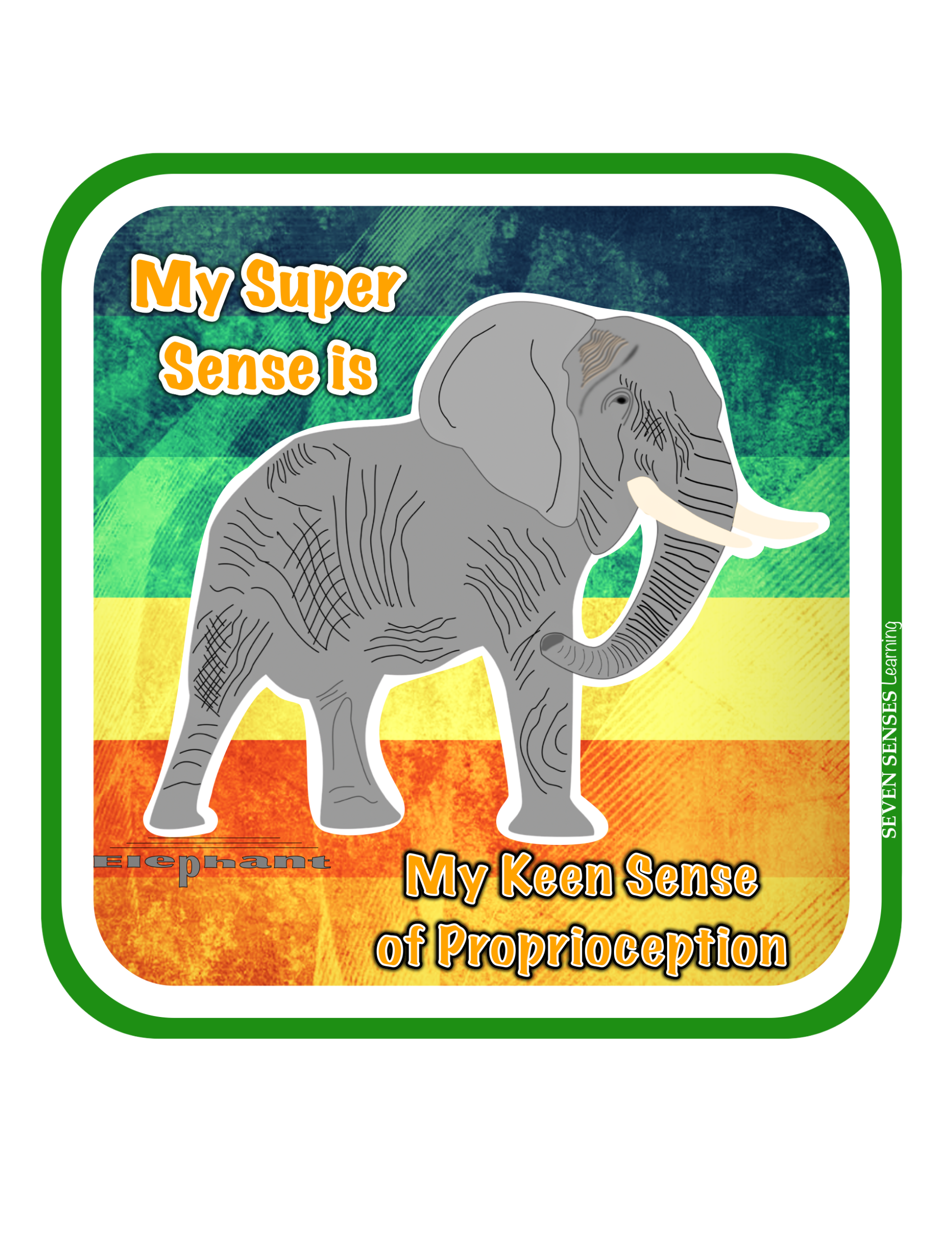 Elephant - Super Sense is Proprioception