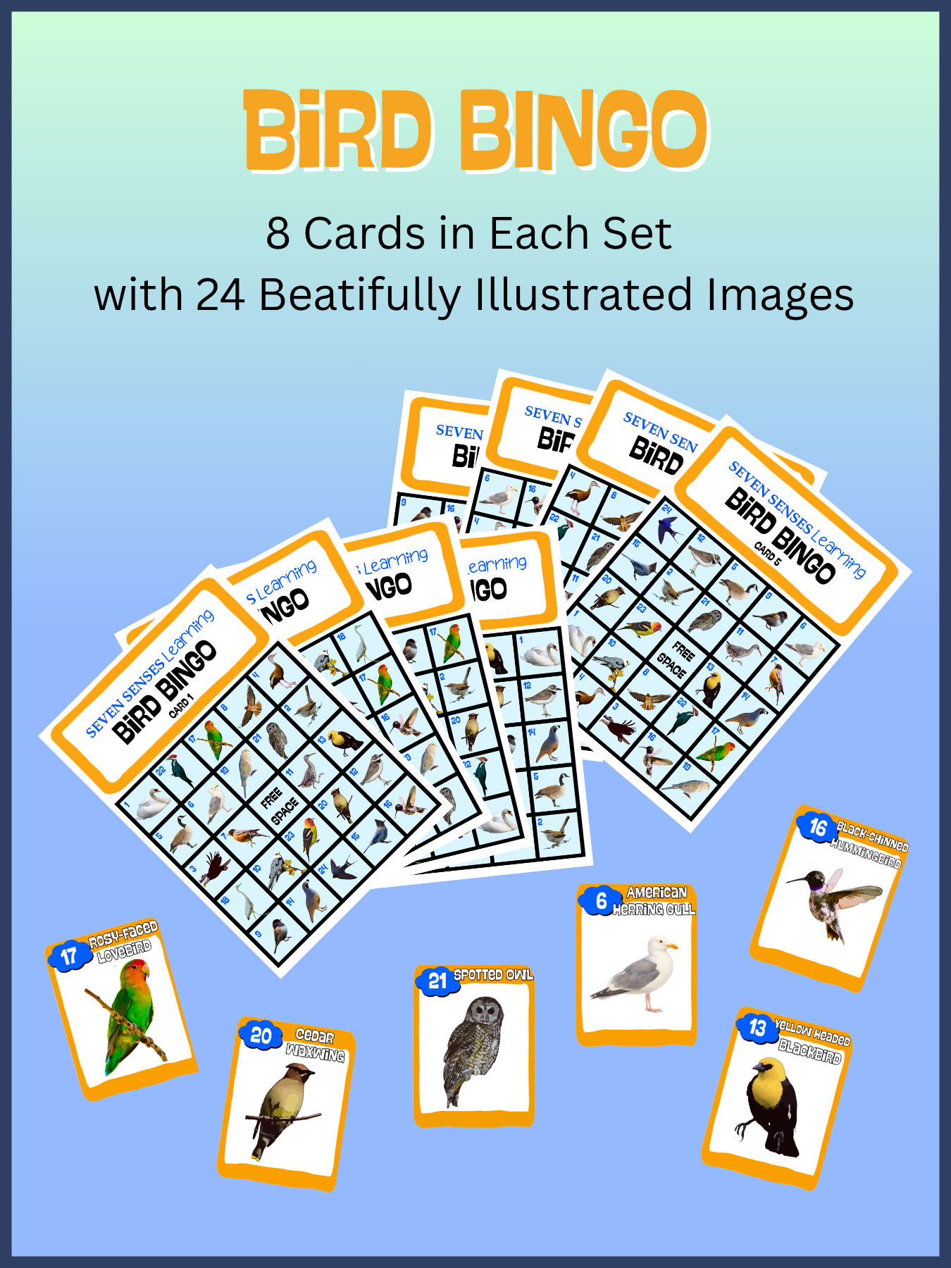 Bird Card display-website images.png