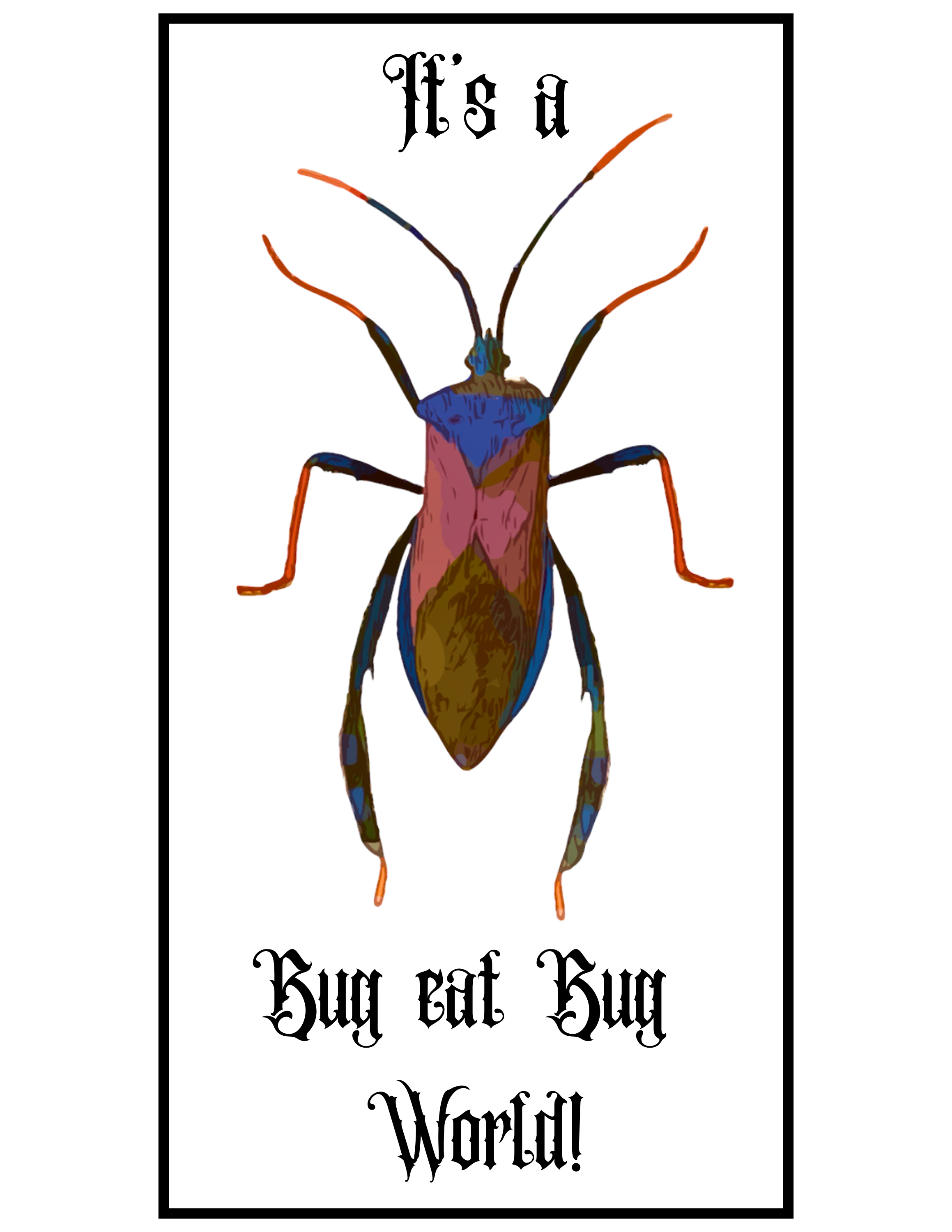 It's A Bug Eat Bug World - 3"