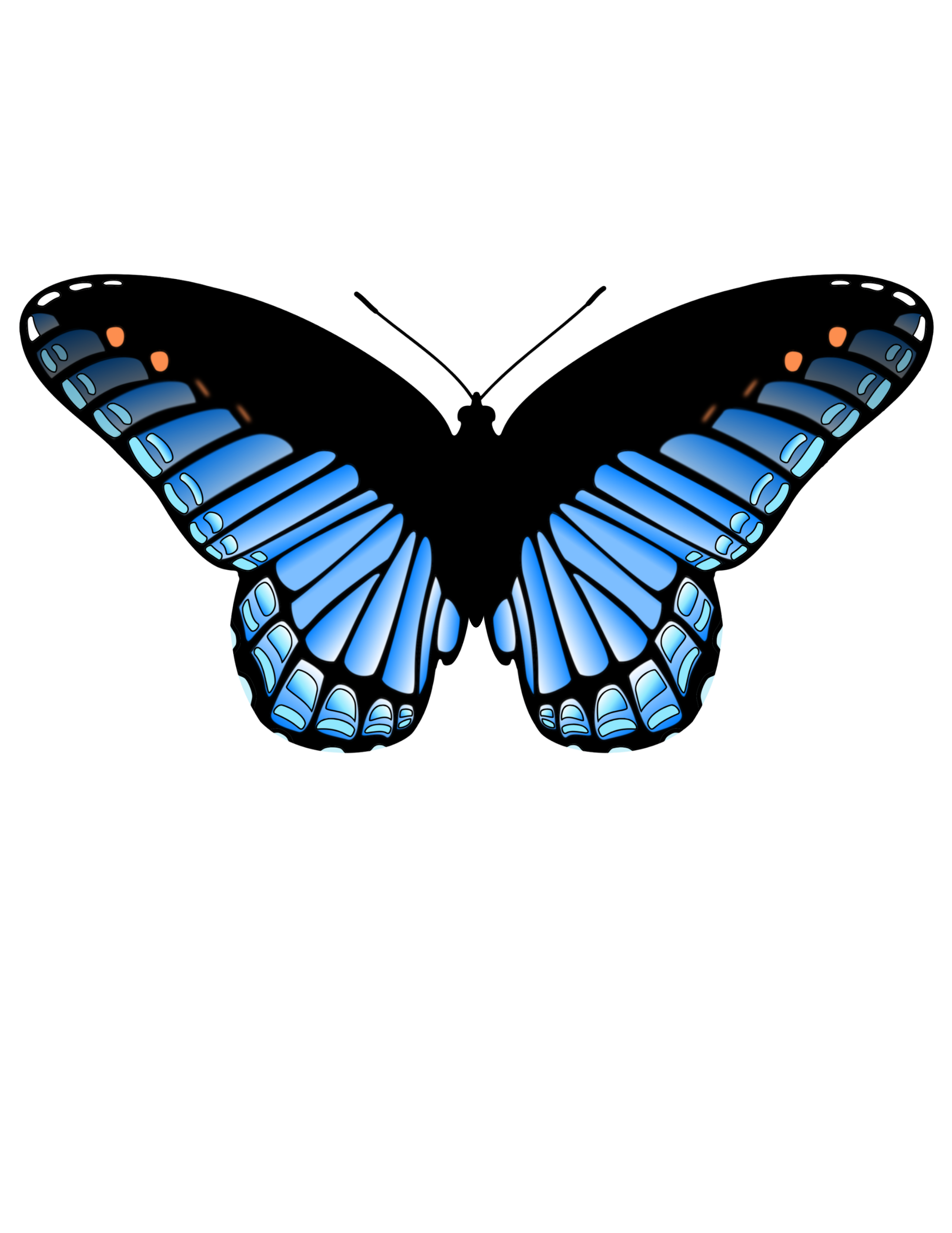 Butterfly - Blue - 2"