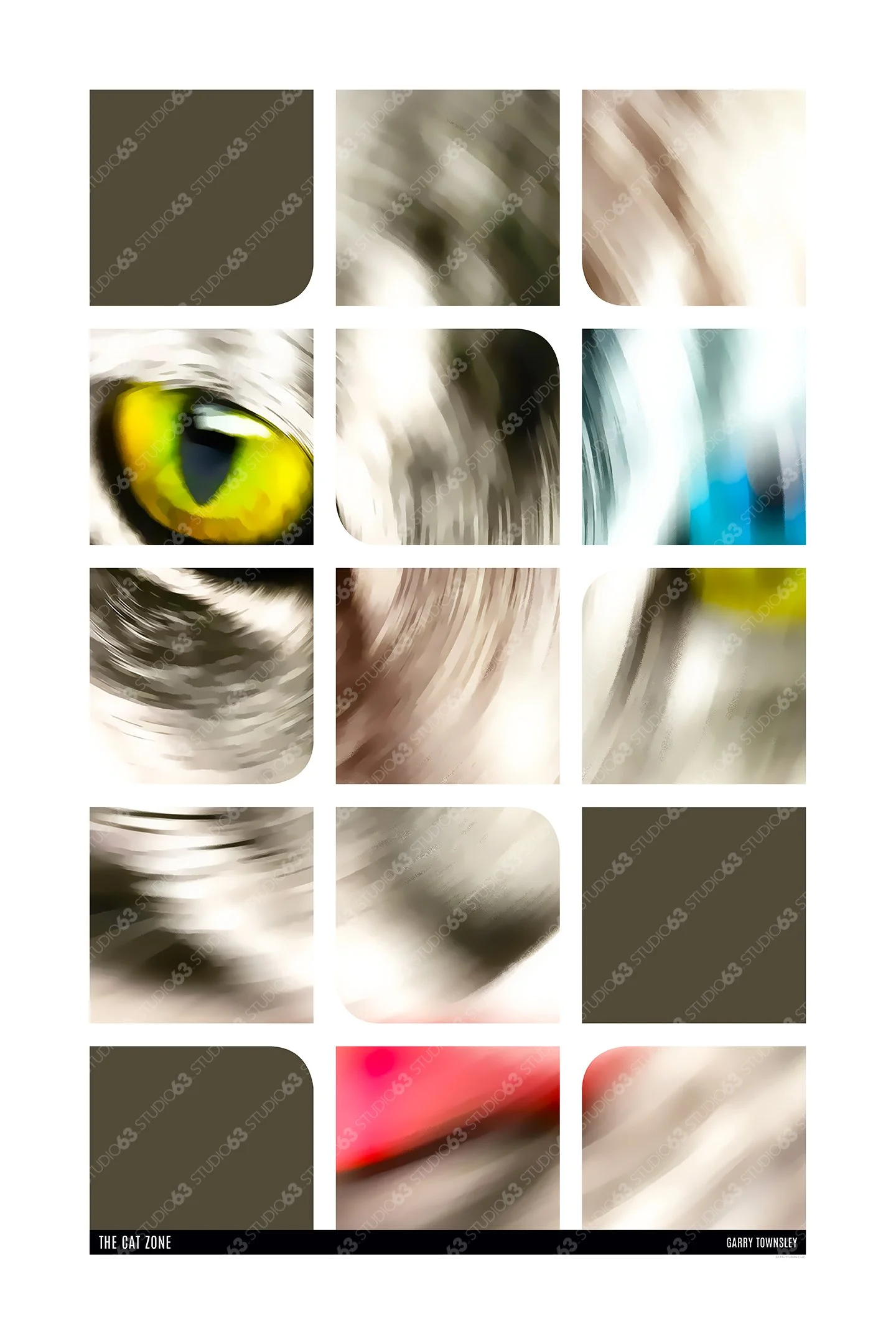 CatZone _WM.jpg