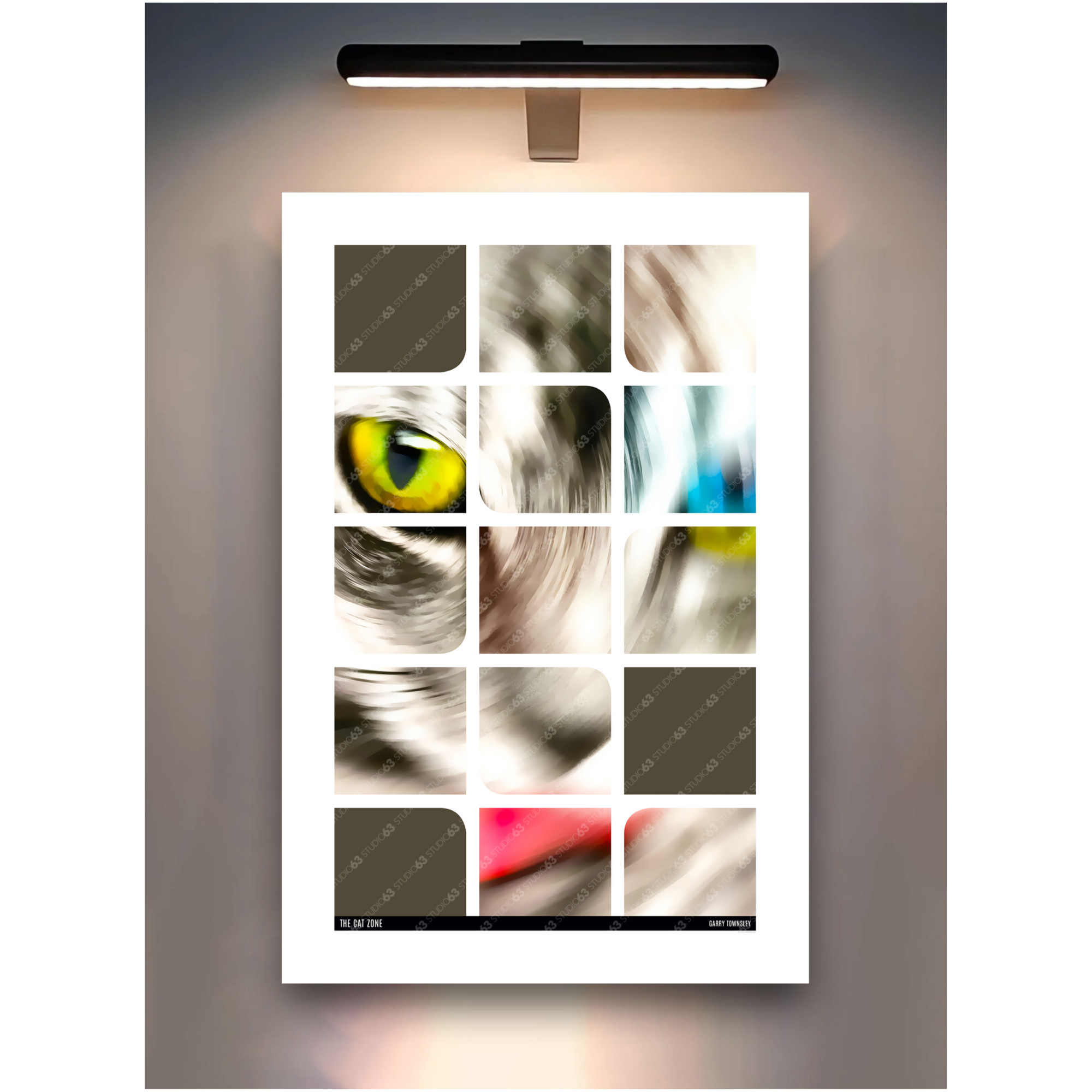 Cat Zone
