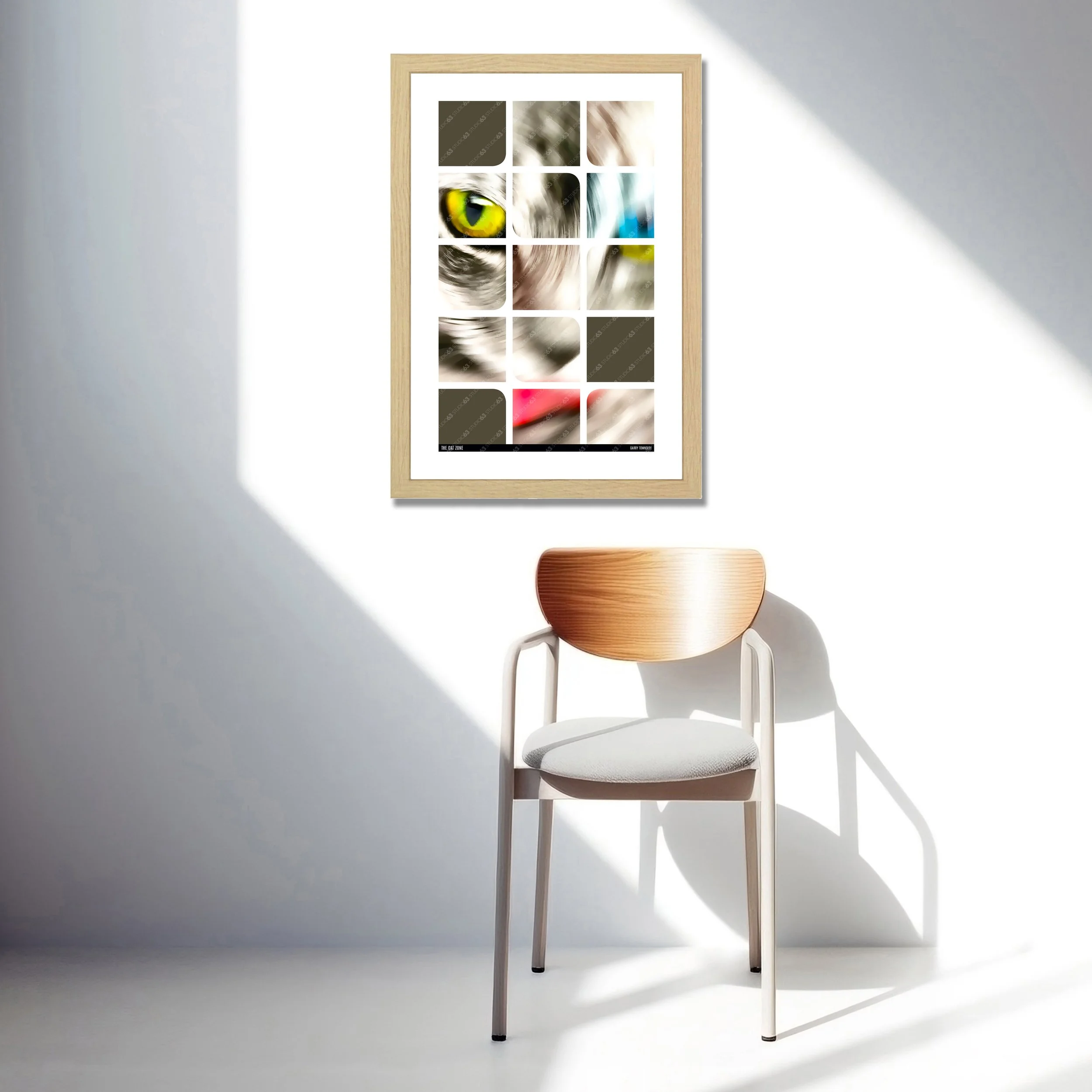 CatZone_Wood_Frame_Mckup copy.jpg