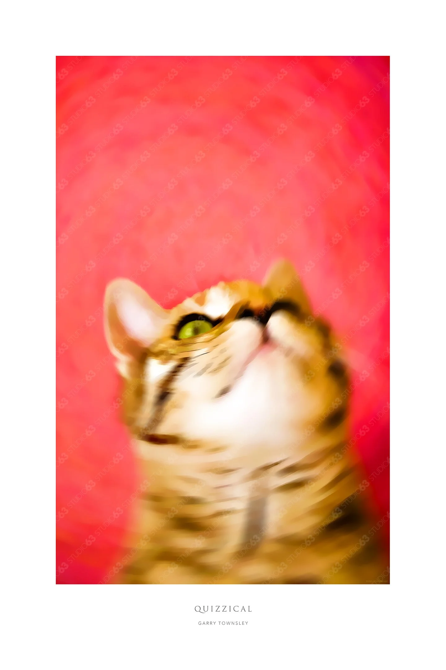 Quizzical_WM.jpg