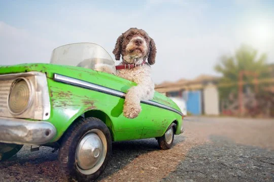 Road Trip!