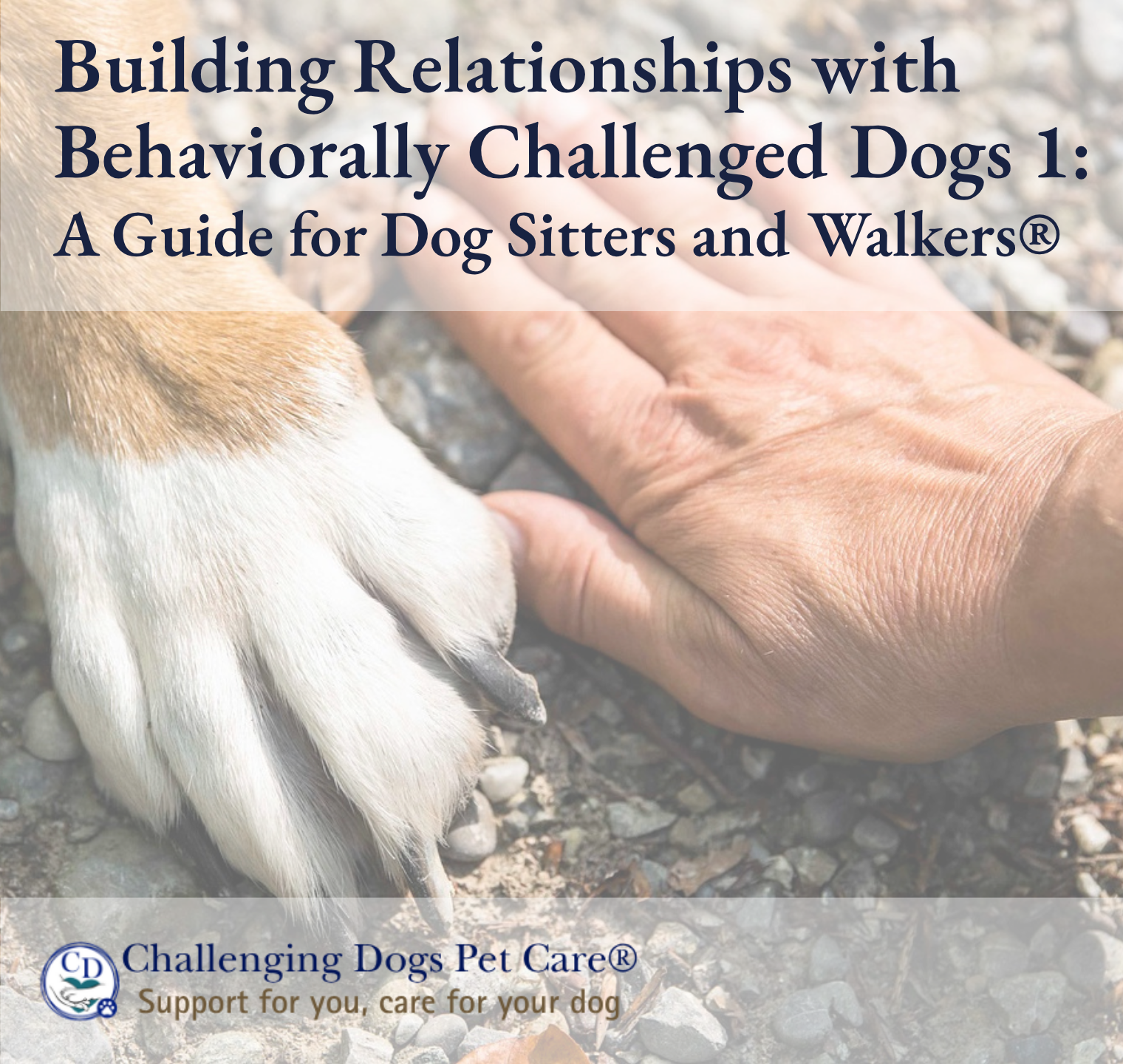 Dog sitter guide, dog walker guide, challenging dogs, reactive dogs