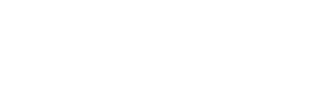 The Cleaners