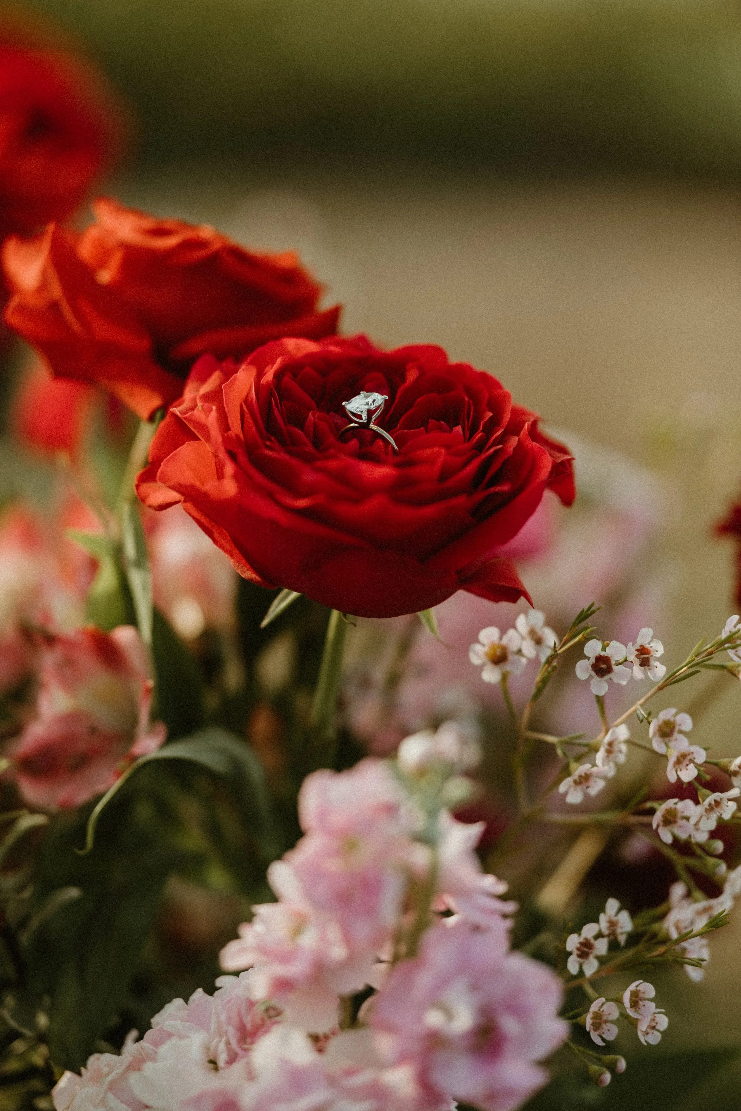 La Jolla Wedding Bowl Engagement