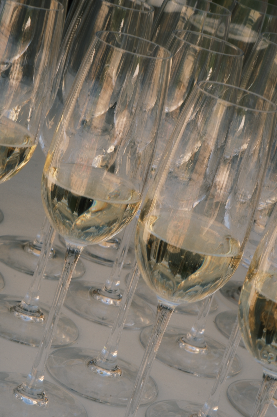 Screen Shot 2026-04-28 at 5.45.35 PM.png