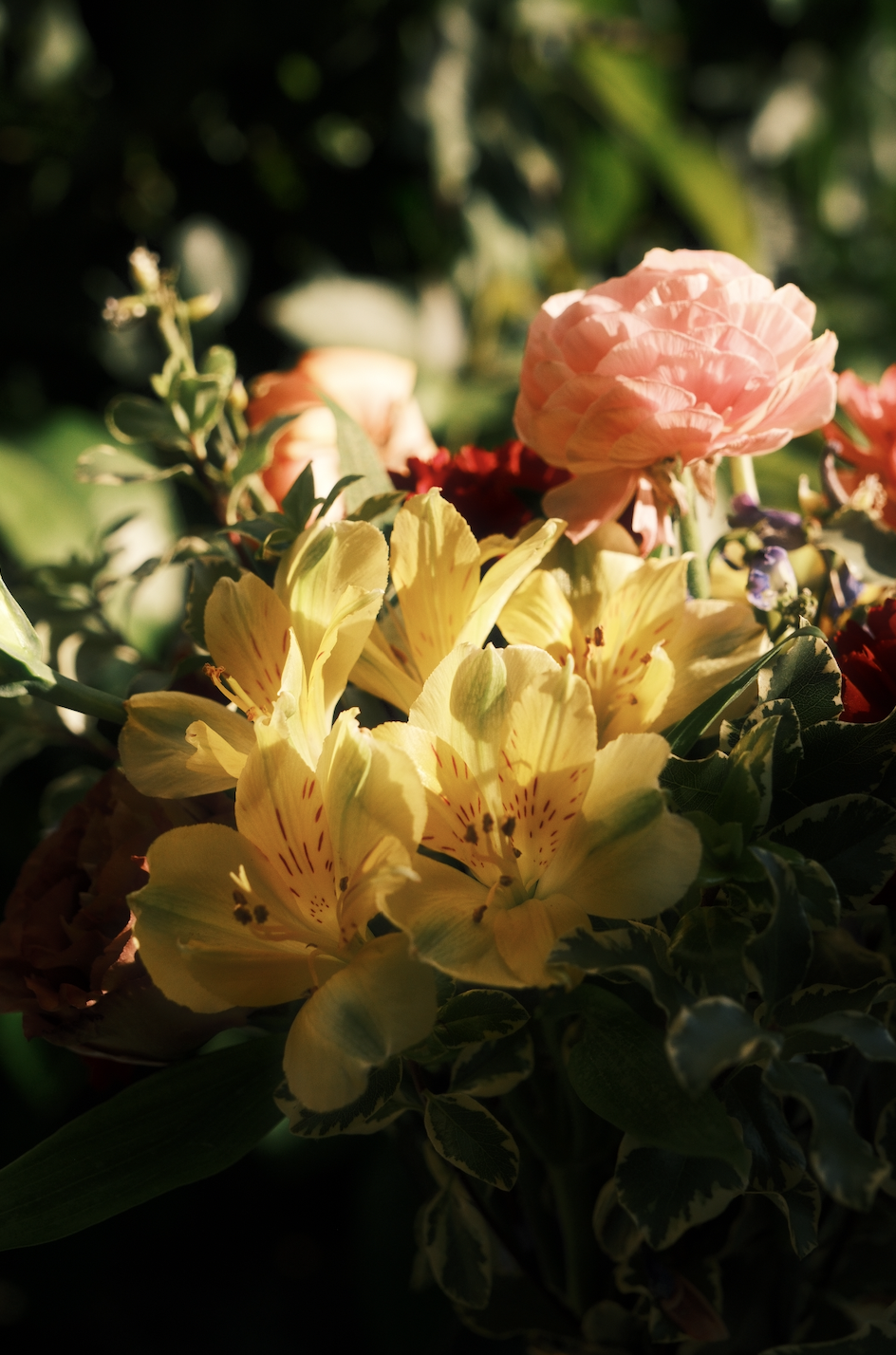 Screen Shot 2026-04-28 at 5.41.29 PM.png