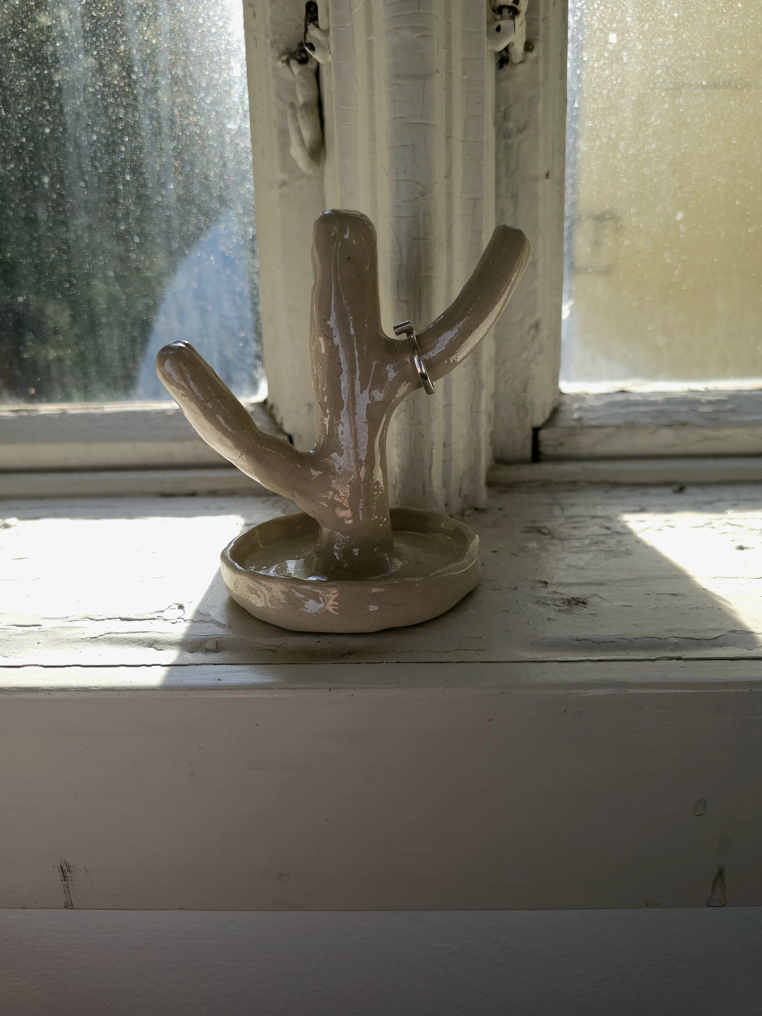 20250303_134341.jpg
