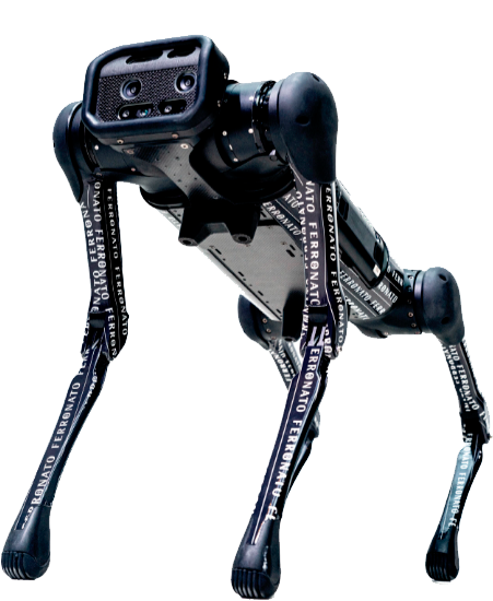 Ferronato-AFW-4.png
