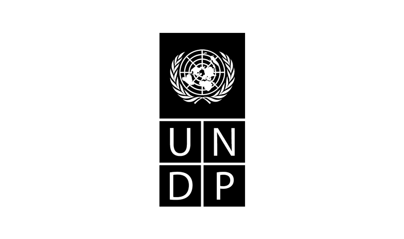 UNDP logo with a black background and the United Nations emblem above the letters 'UNDP'.