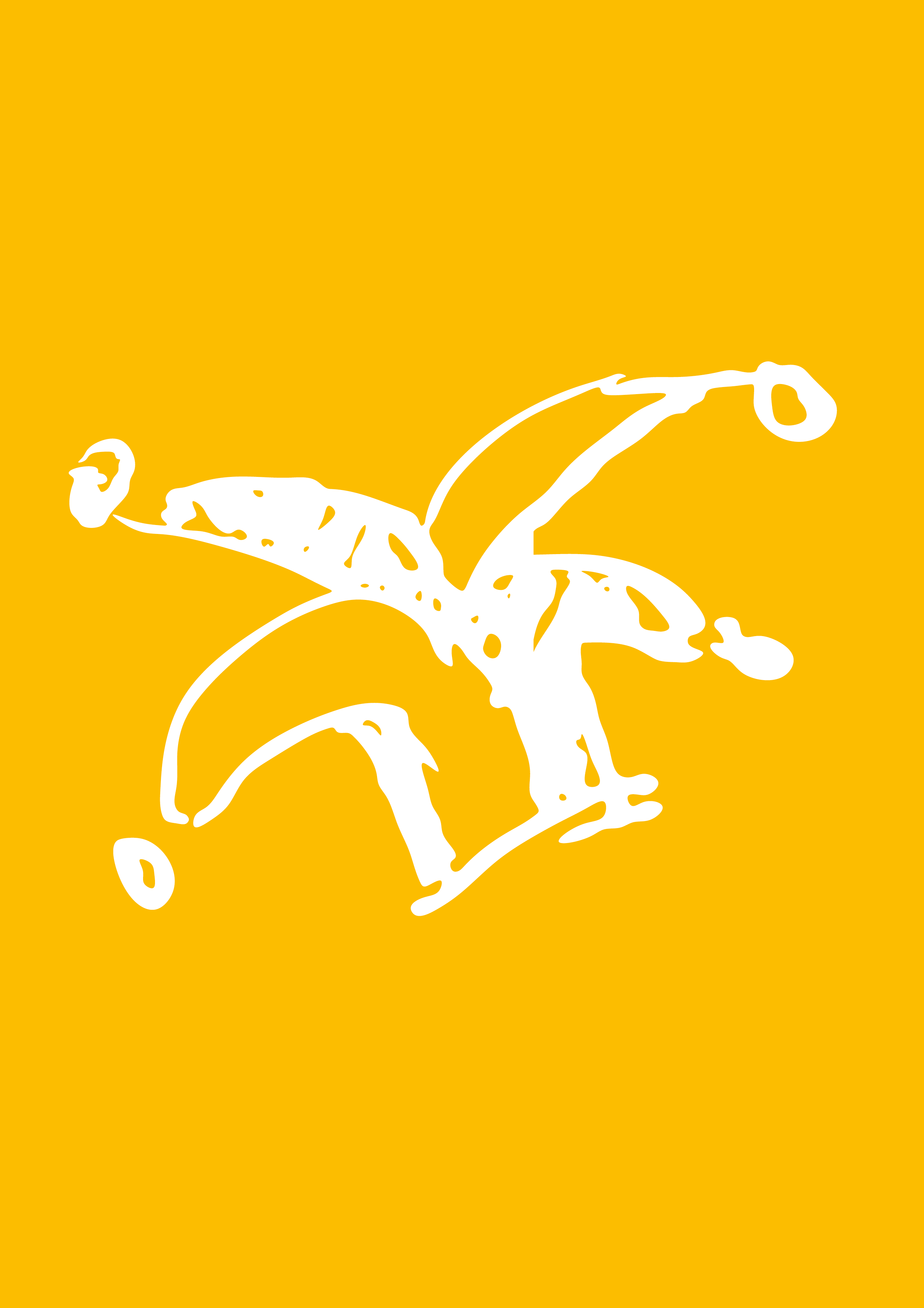 KAPOENENLEIDING