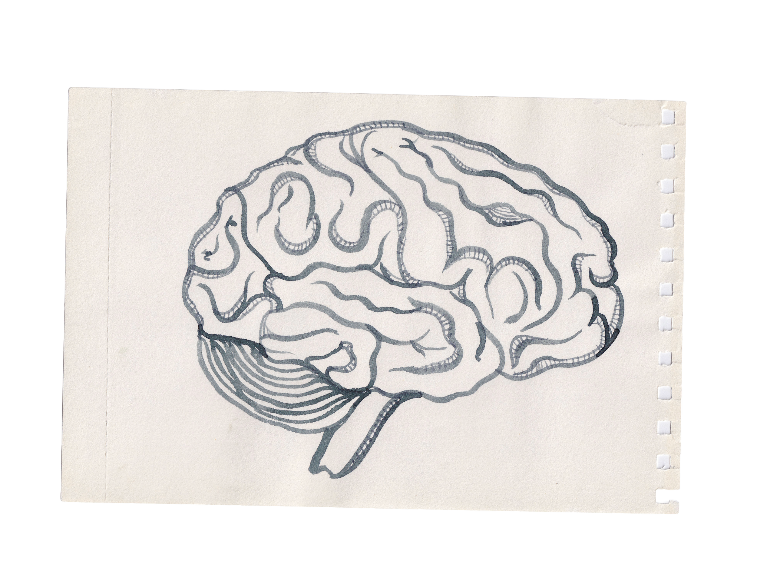 Reading Books vs Listening to Books: What’s the difference in the brain?