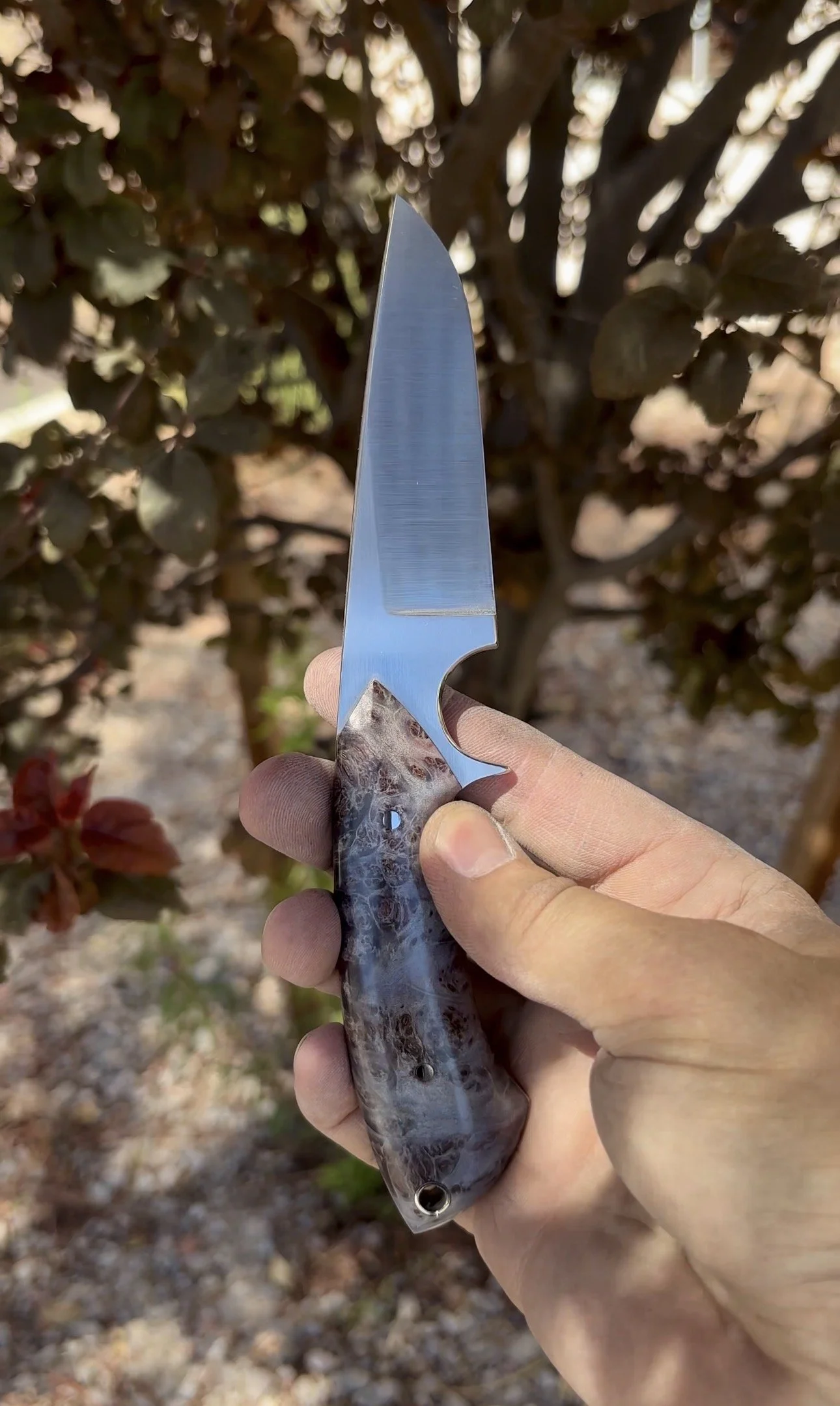 P. Harp Designs Sidekick (2) - Blue Box Elder.jpg