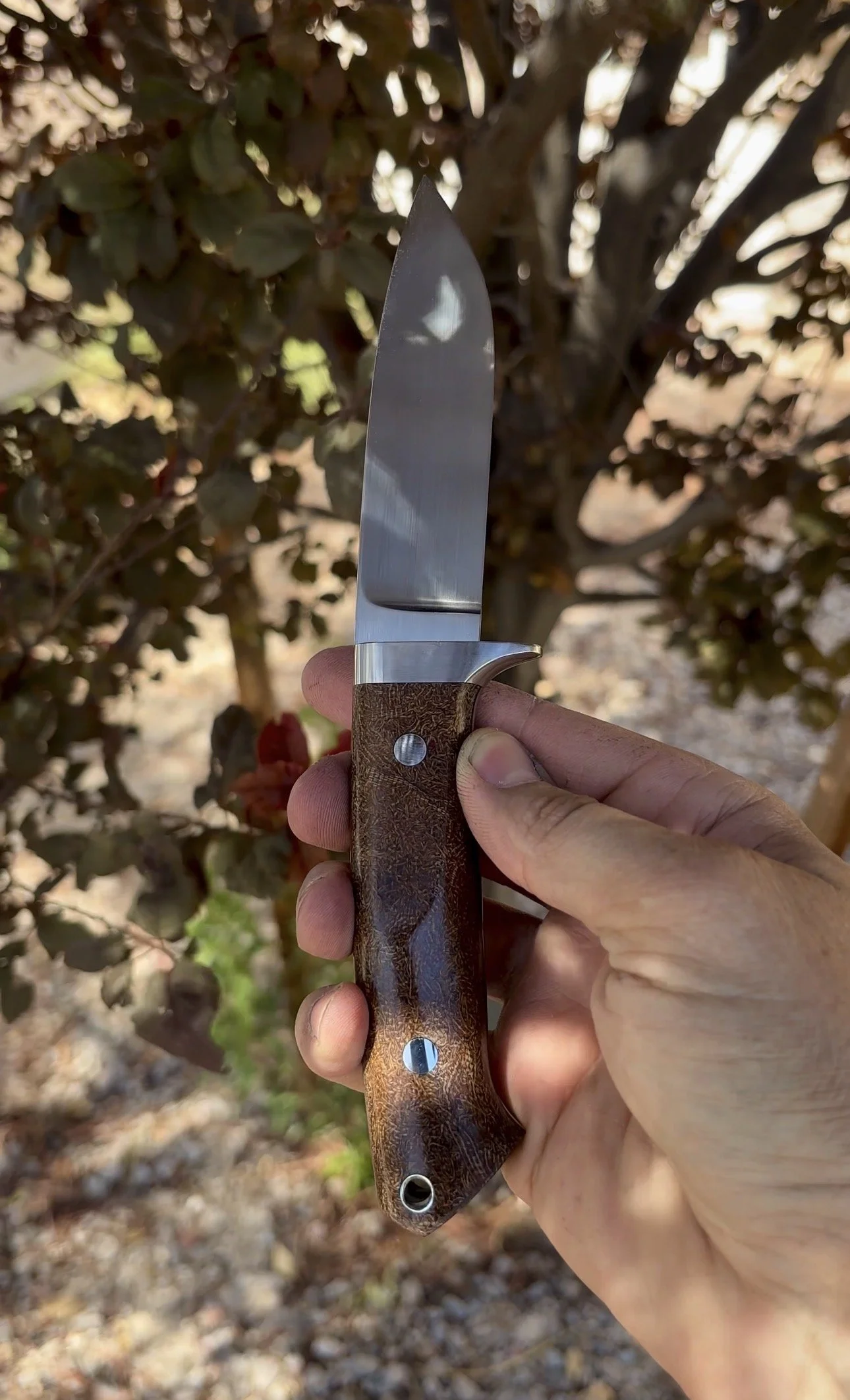 P. Harp Designs Loveless Styled Drop Hunter (2).jpg
