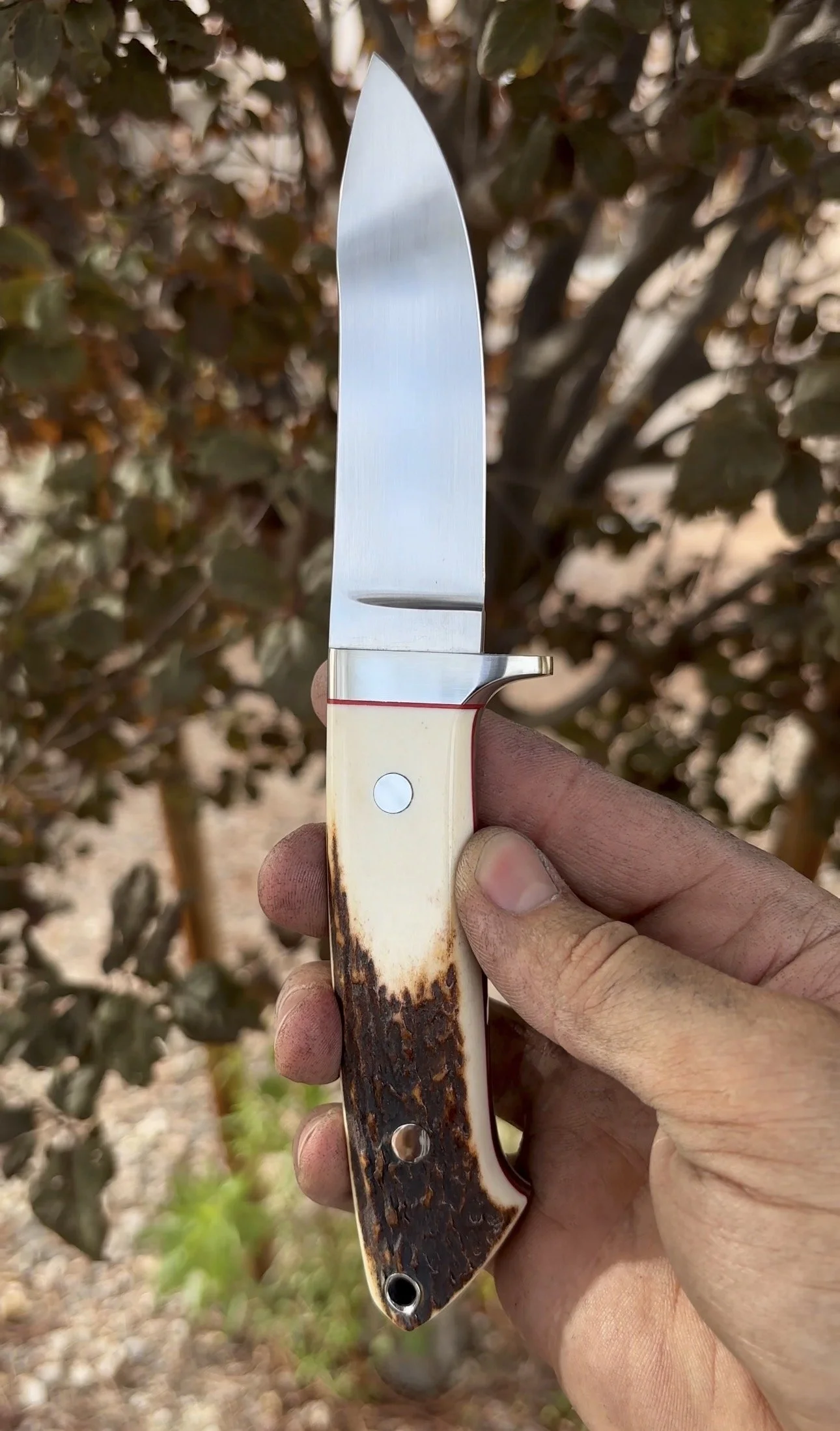 P. Harp Designs Loveless Styled Semi-Skinner (2).jpg
