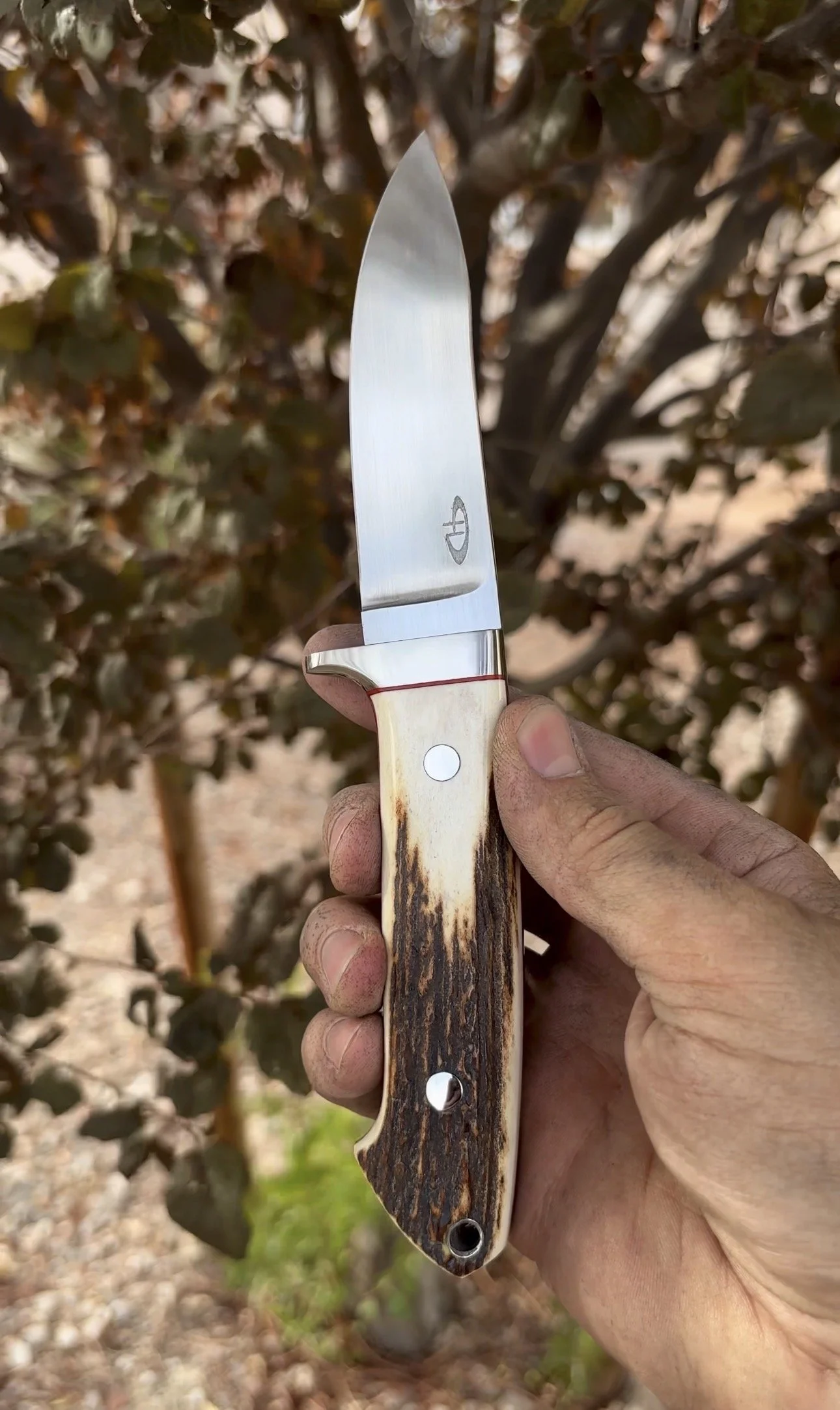 P. Harp Designs Loveless Styled Semi-Skinner.jpg
