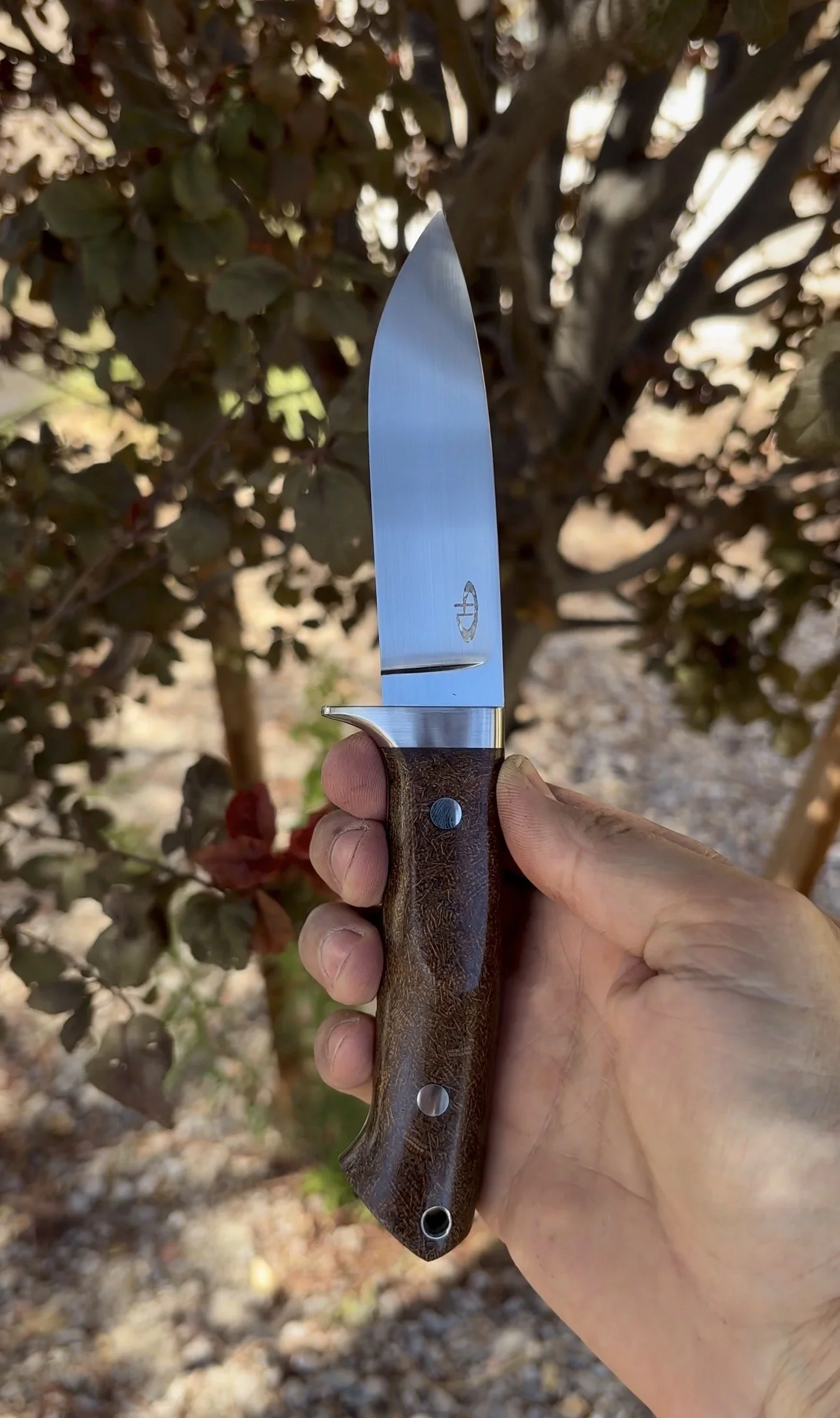P. Harp Designs Loveless Styled Drop Hunter.jpg