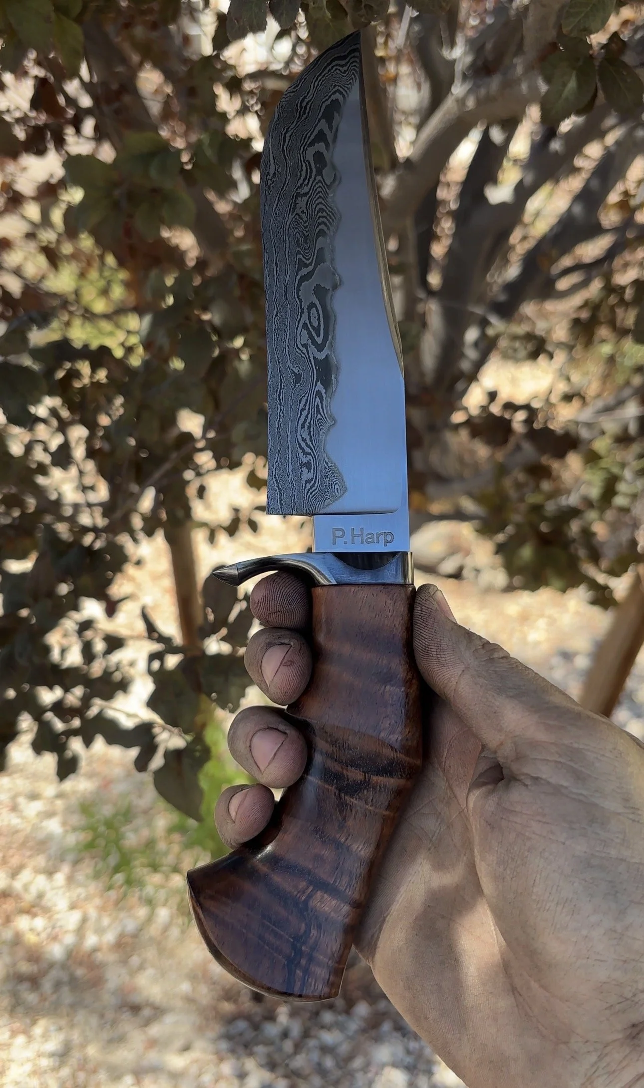 P. Harp Designs San Mai Fighter.jpg