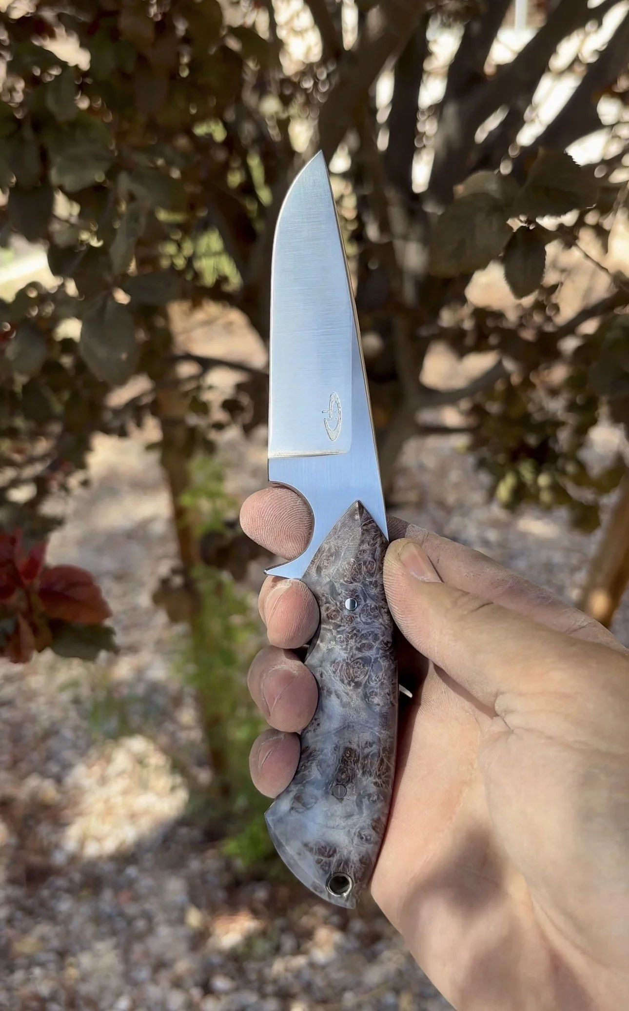 P. Harp Designs Sidekick - Blue Box Elder.jpg