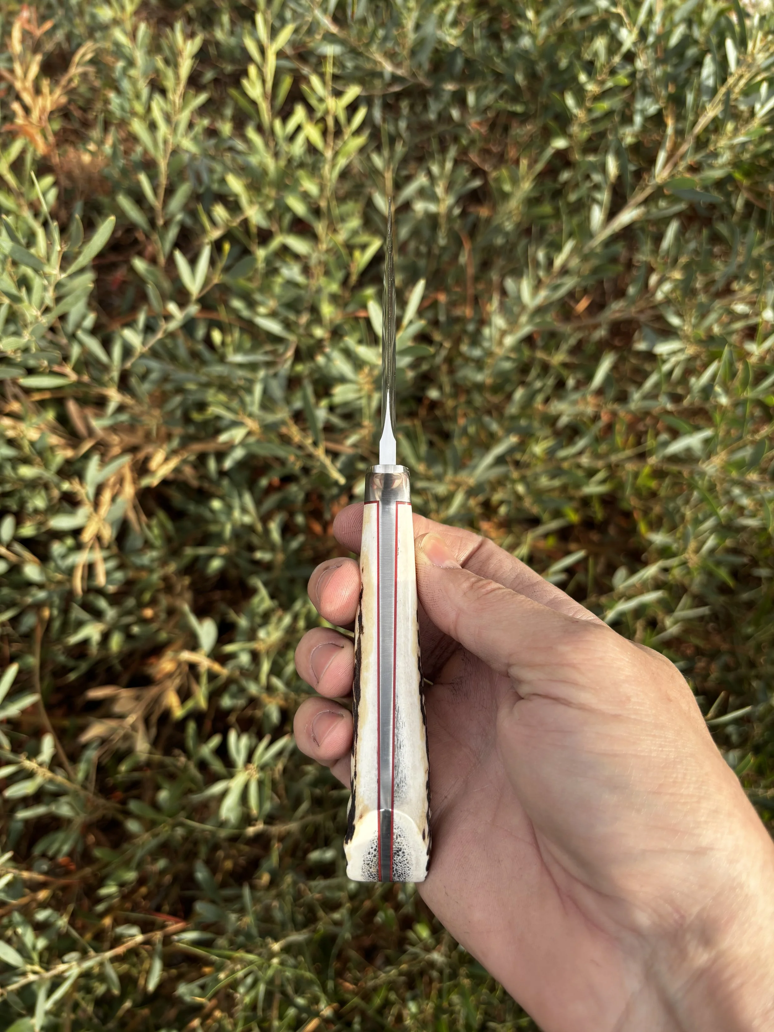 Loveless Styled Semi-Skinner-4.jpeg