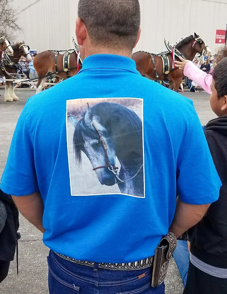 A man wearing a bright blue polo shirt with a large picture of a black horse on the back, standing in front of a line of horses with bridles and harnesses, with people and a white wall in the background.