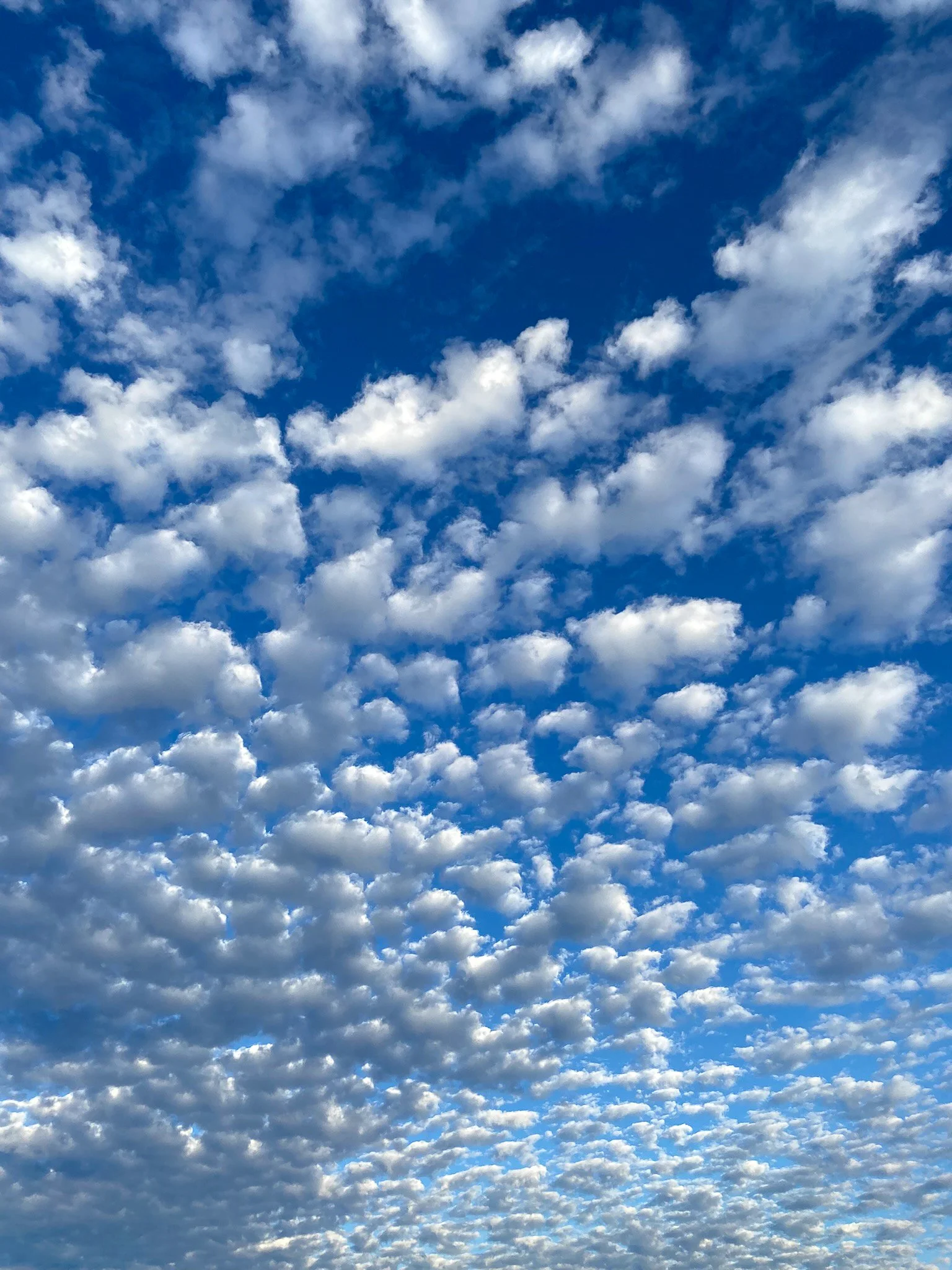 A blue sky filled with scattered white clouds.