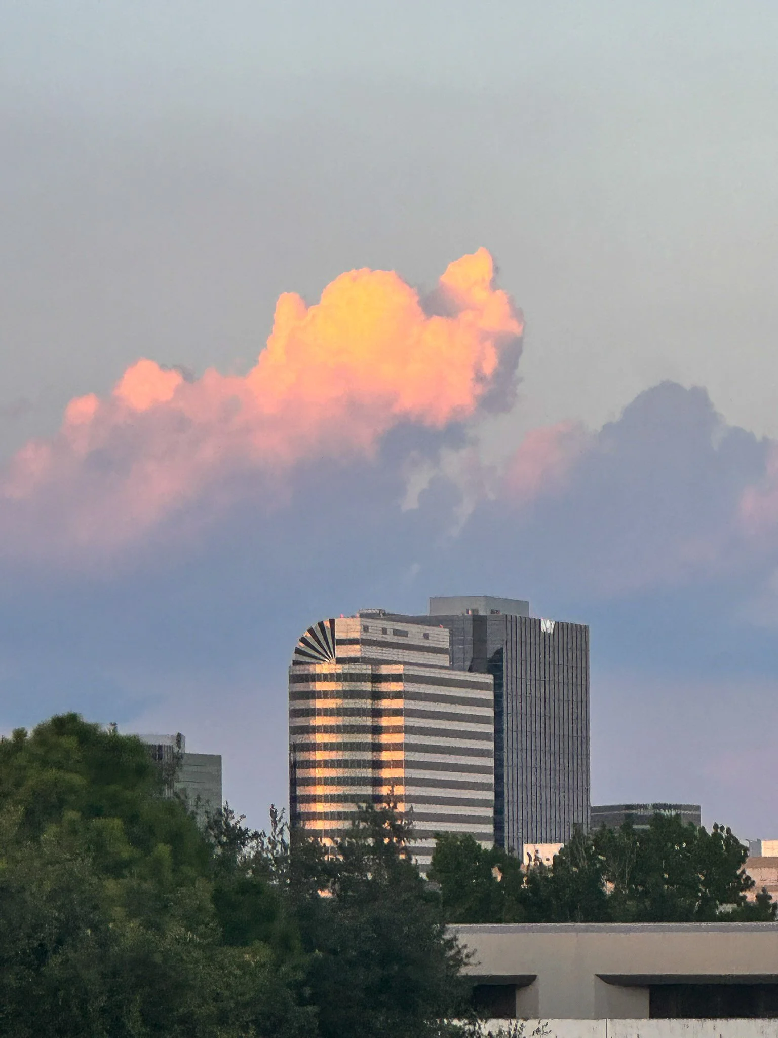 Houston, TX
