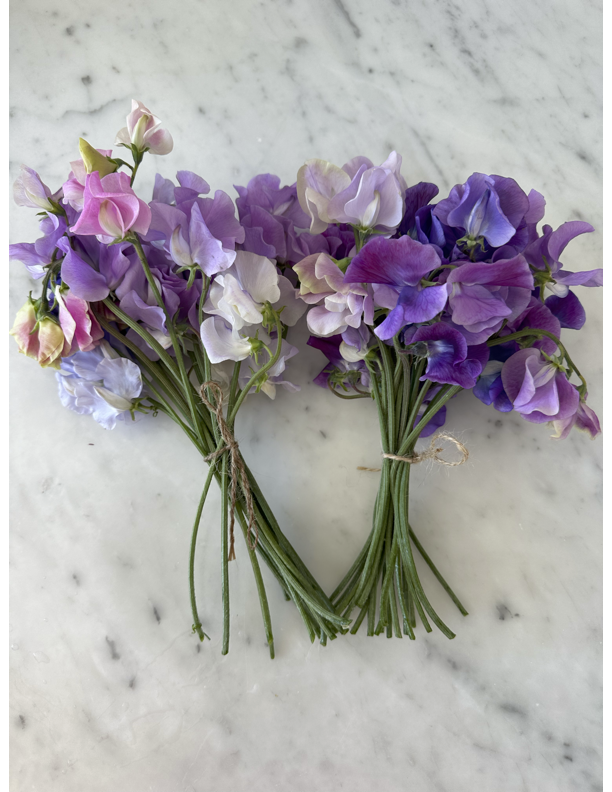 Seasonal Sweet Pea Bundle