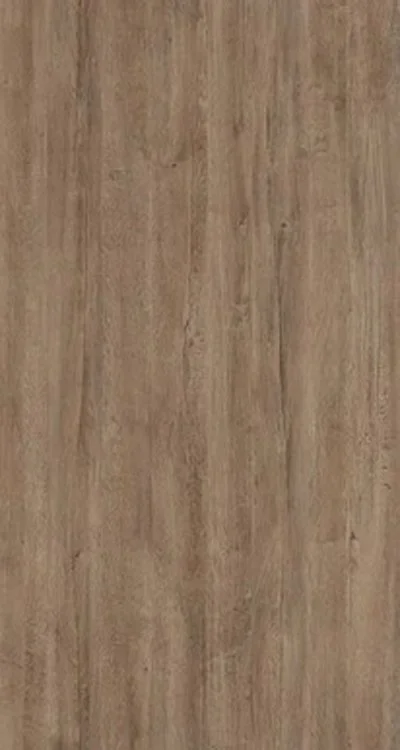 WP - Lakeland Oak