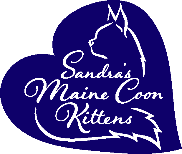 Sandra&#39;s Maine Coon Kittens