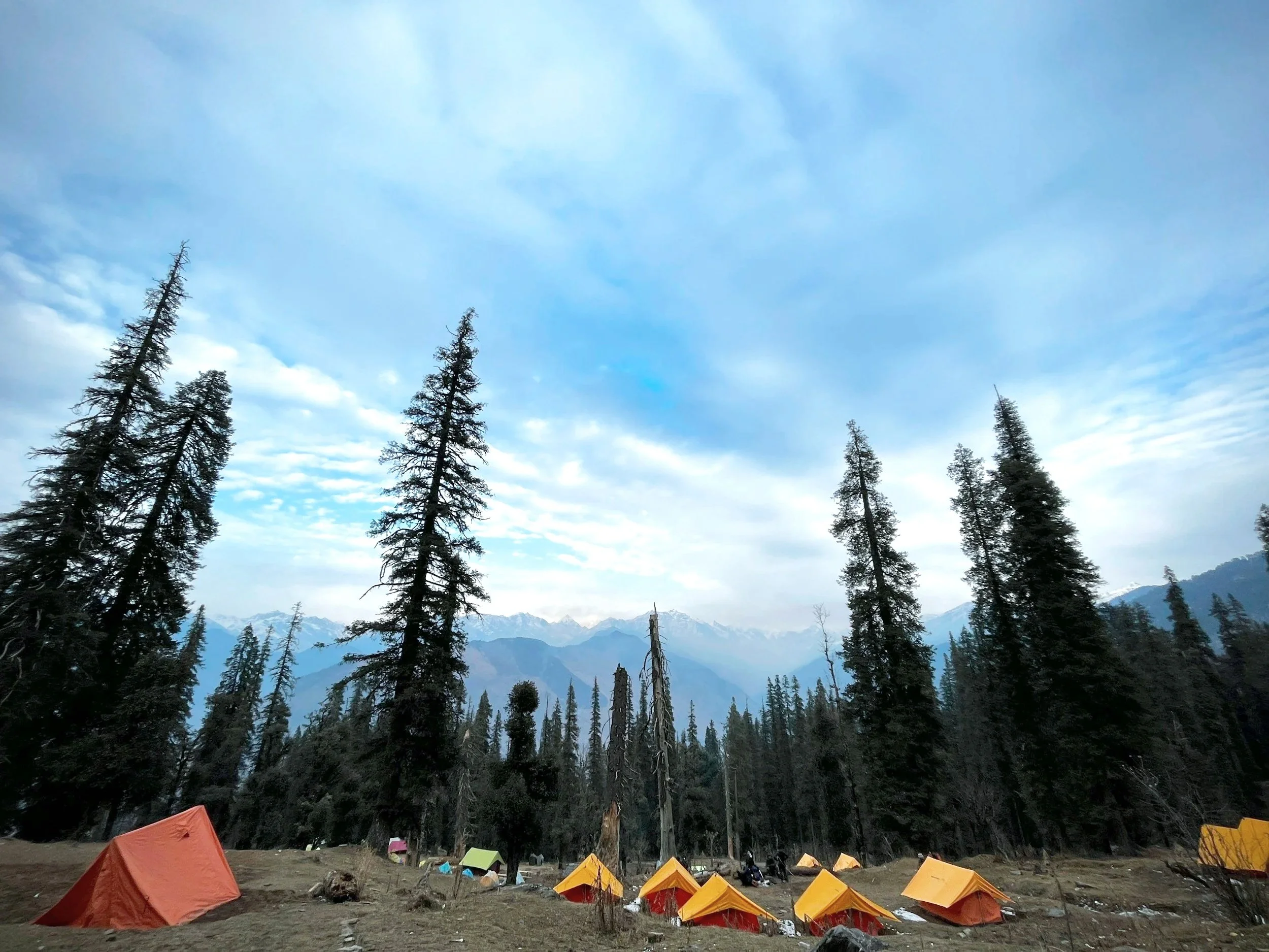 Tents set up on a forested mountain area with tall pine trees and mountain peaks in the background under a partly cloudy sky.