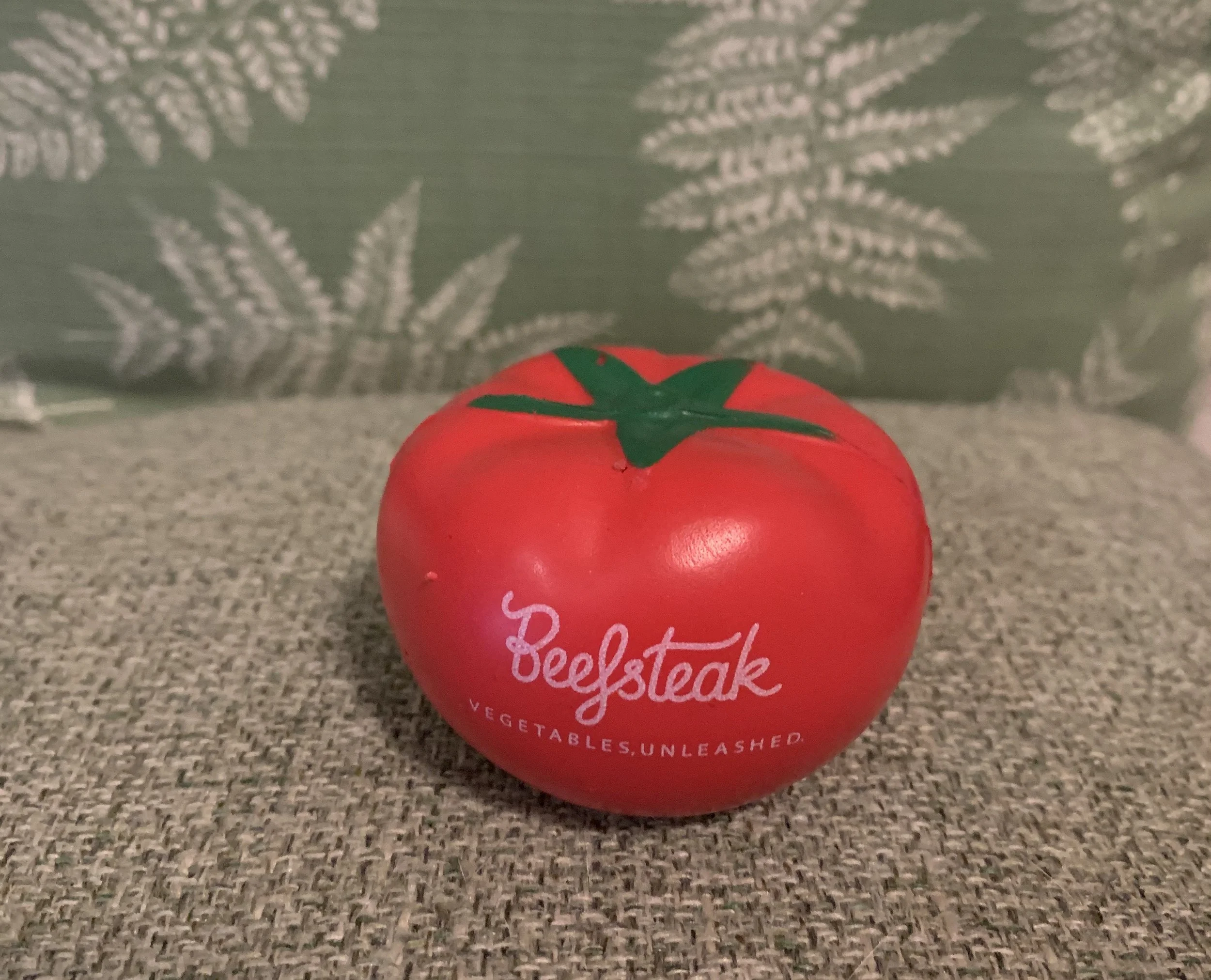 Beefsteak Stress Toy